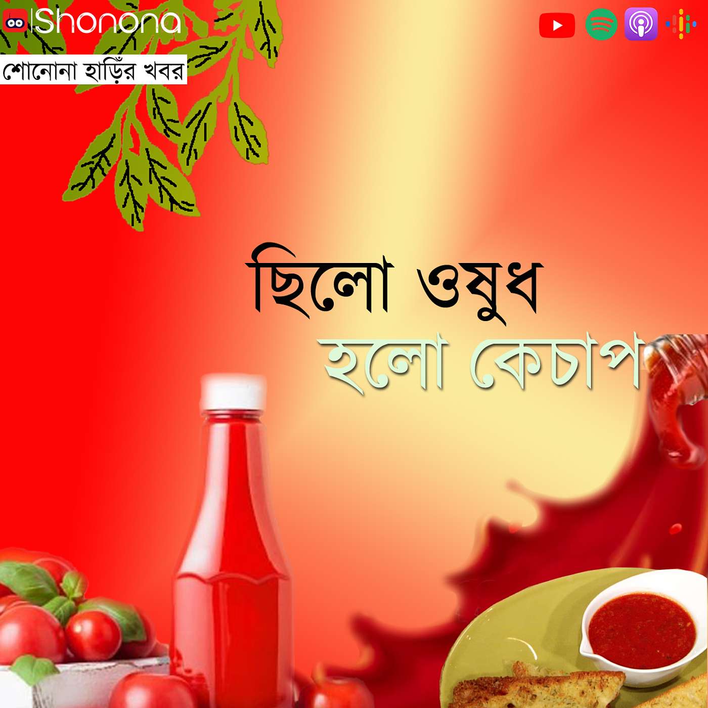 টম্যাটো কেচাপ ওষুধের দোকান থেকে কীভাবে পৌঁছে গেল রান্নাঘরে | From medicine to your fries: The surprising history of tomato ketchup | Shonona Bengali Podcast
