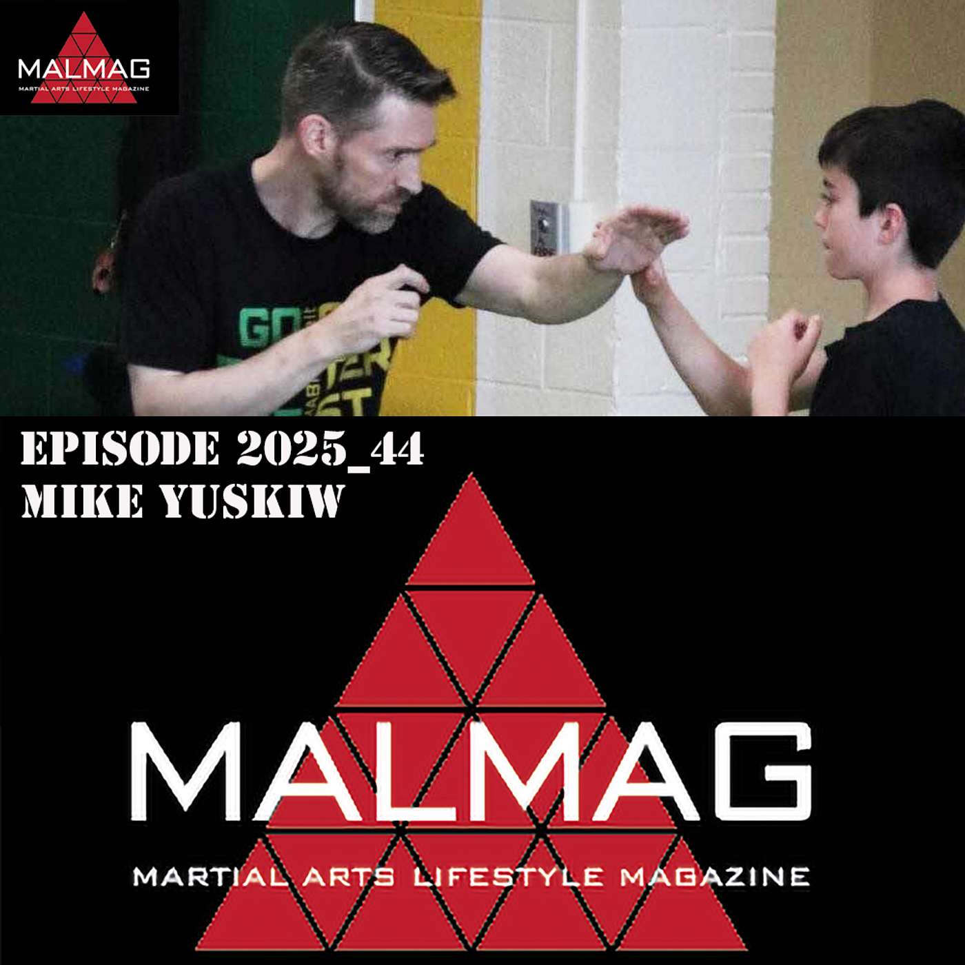The Martial Arts Lifestyle Podcast