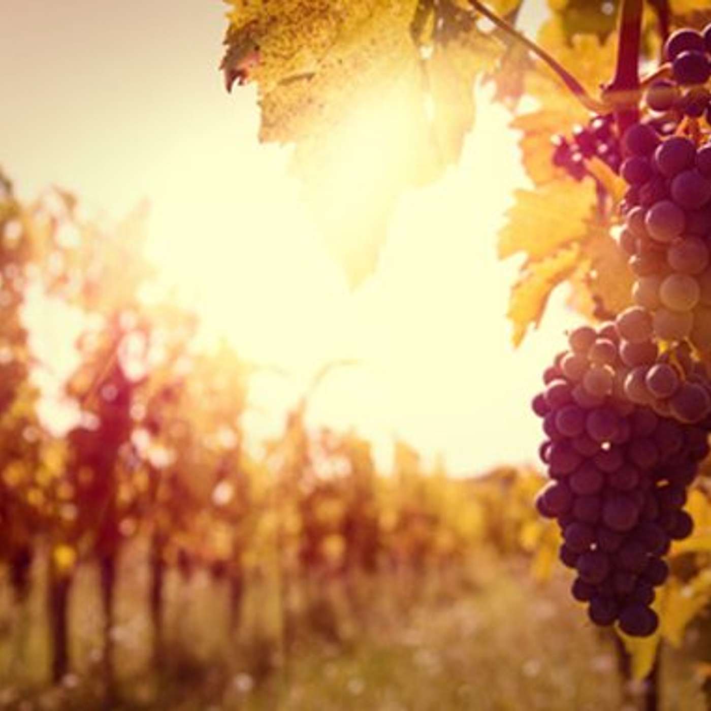 Just a little off the top... (A Treadweary Sermoncast)