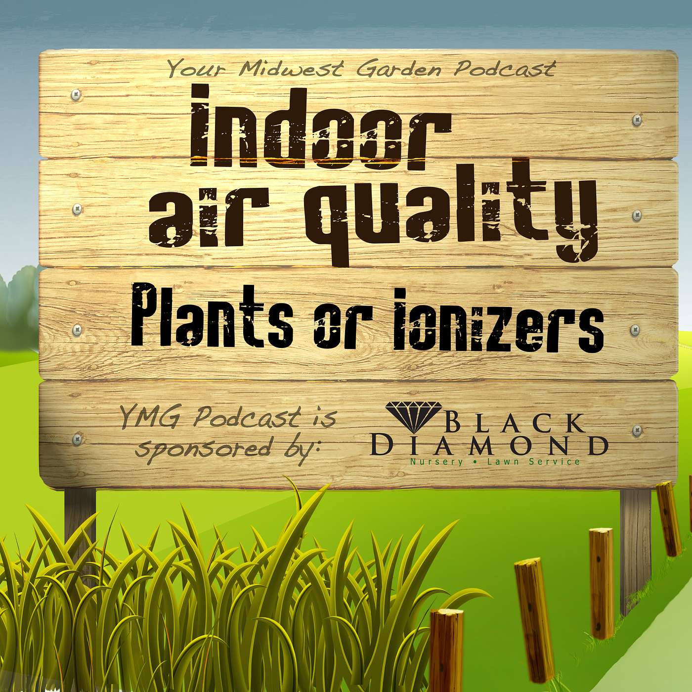 Indoor Air: Plants or Ionizers?