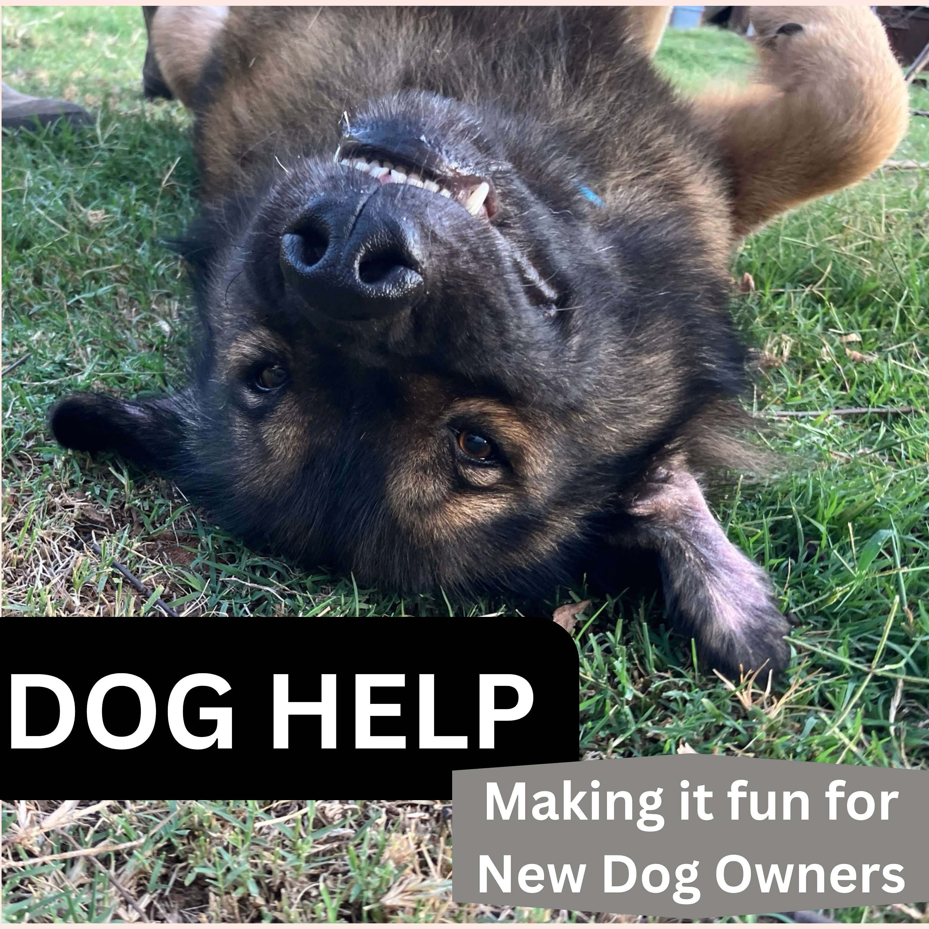 Dog Help