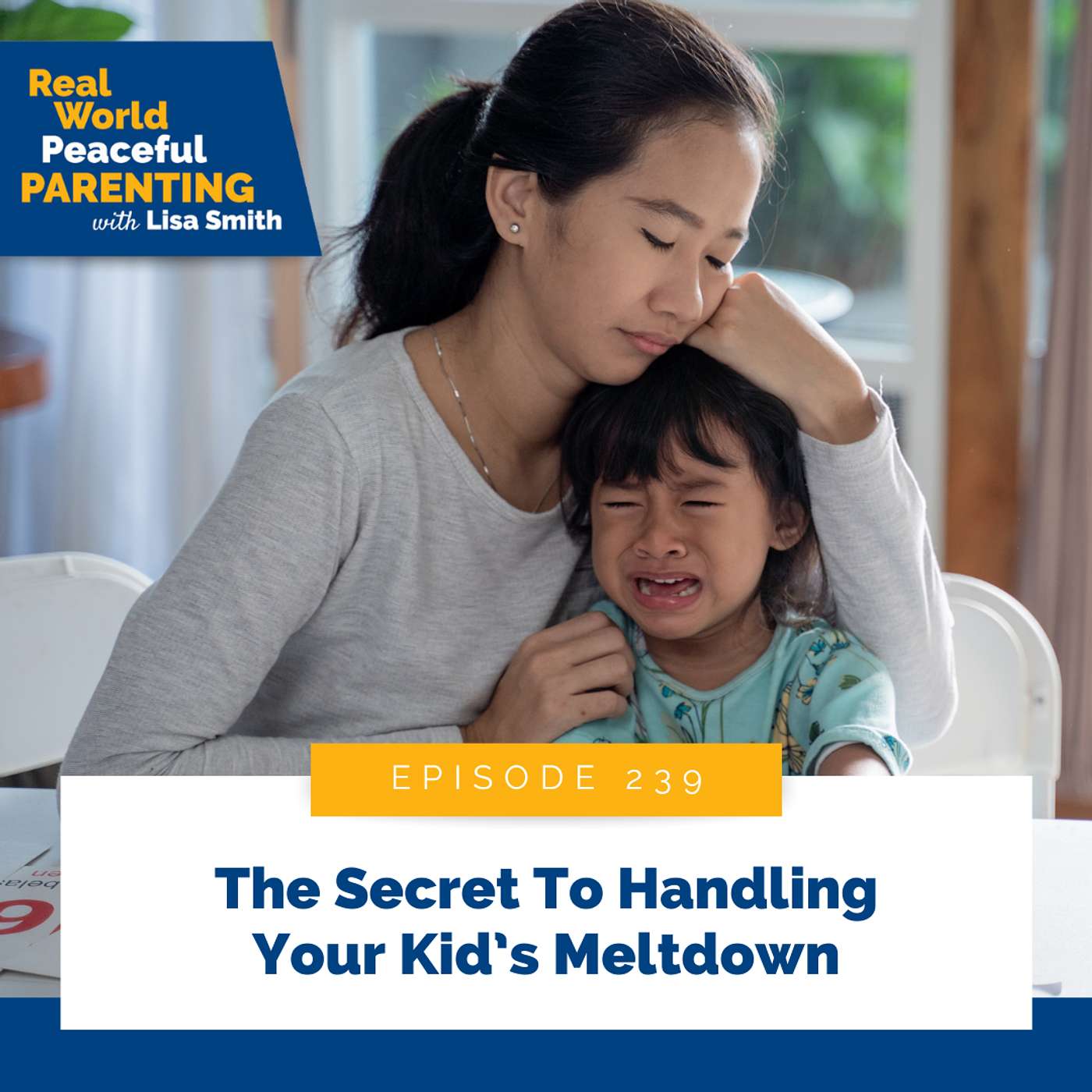 239: The Secret To Handling Your Kid's Meltdown
