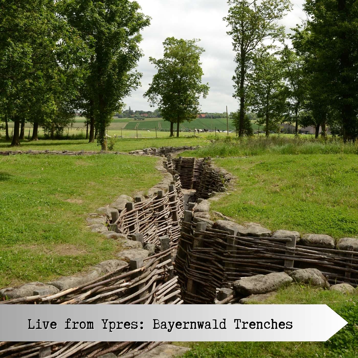 Live From Ypres: Bayernwald Trenches