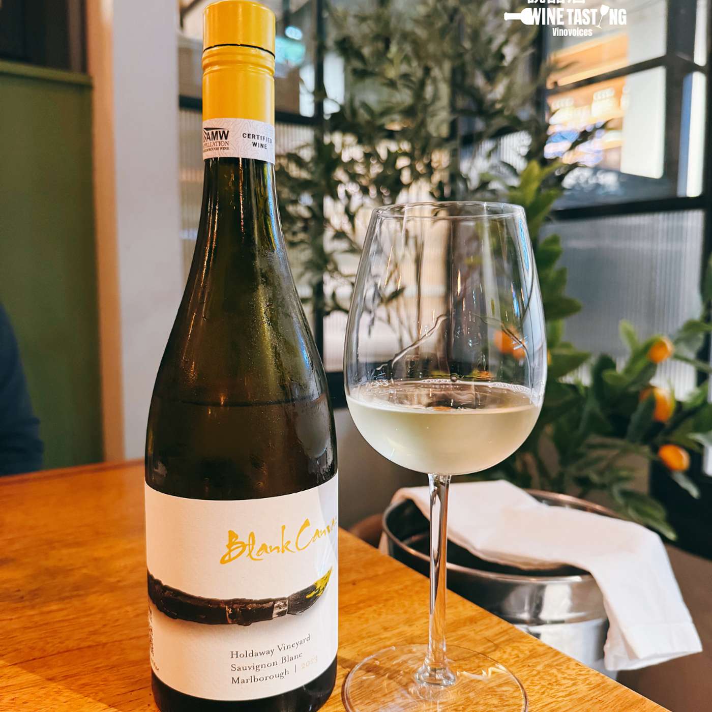 EP. 104｜一張風土描繪的畫布—Blank Canvas Sauvignon Blanc 2023