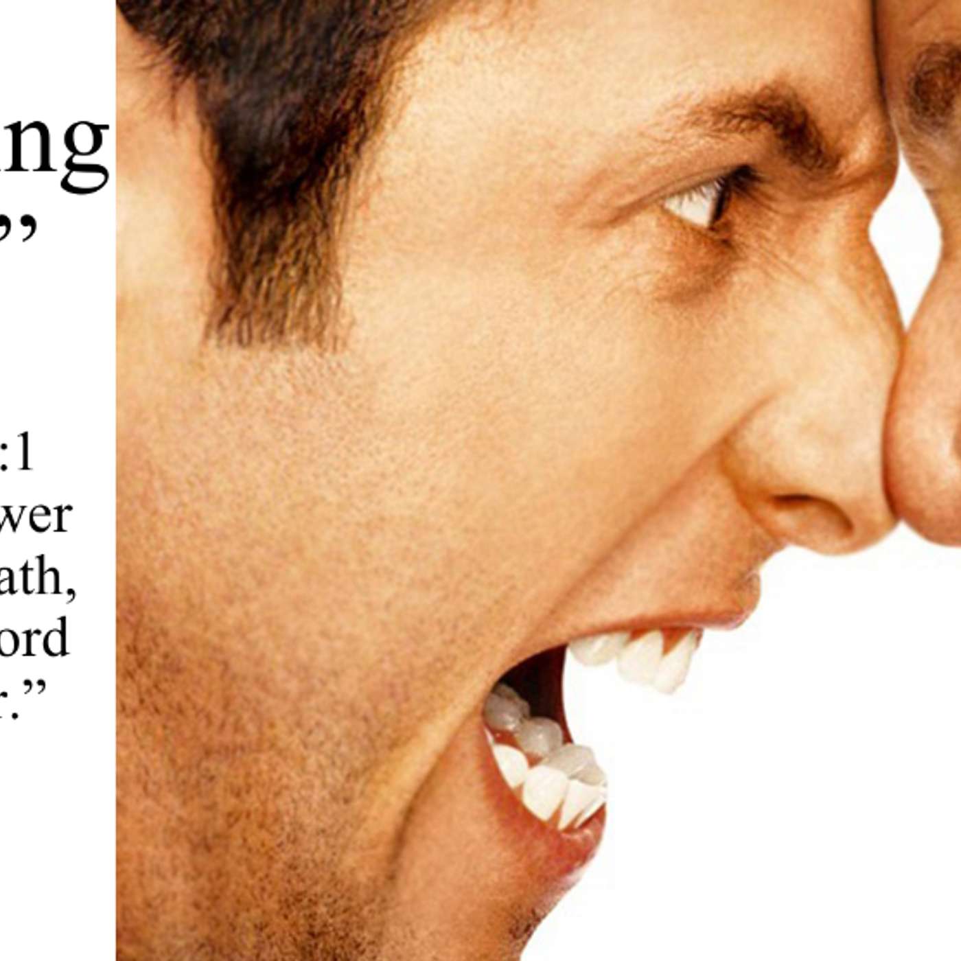 Diffusing Anger - Chris Hussey