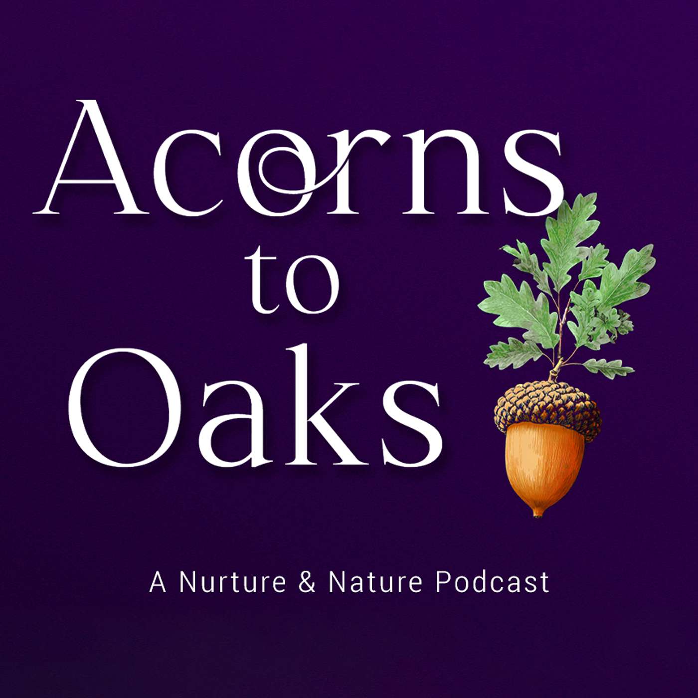 Acorns to Oaks