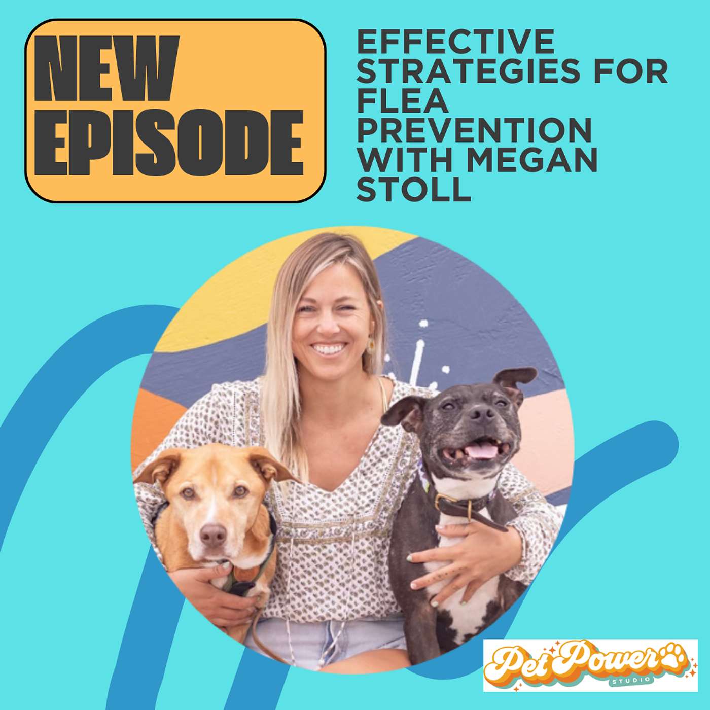 Ted The Vet : Expert Advice and Insightful Tips to Care for your Pets