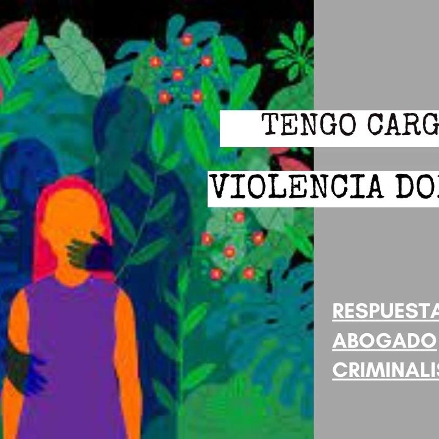 Abogado Criminalista Área de la Bahía