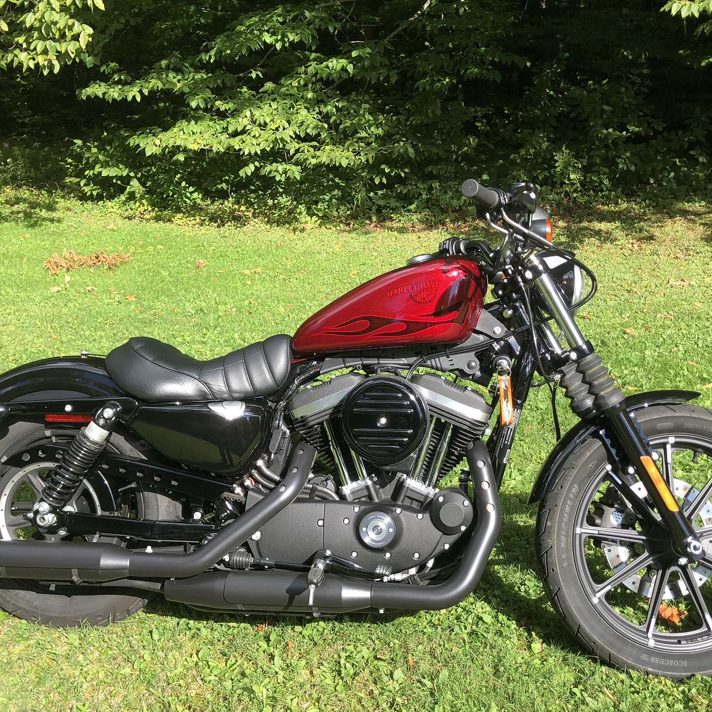 Episode 165 - Rider Rides with Michele and her Harley Iron 883 Sportster episode artwork