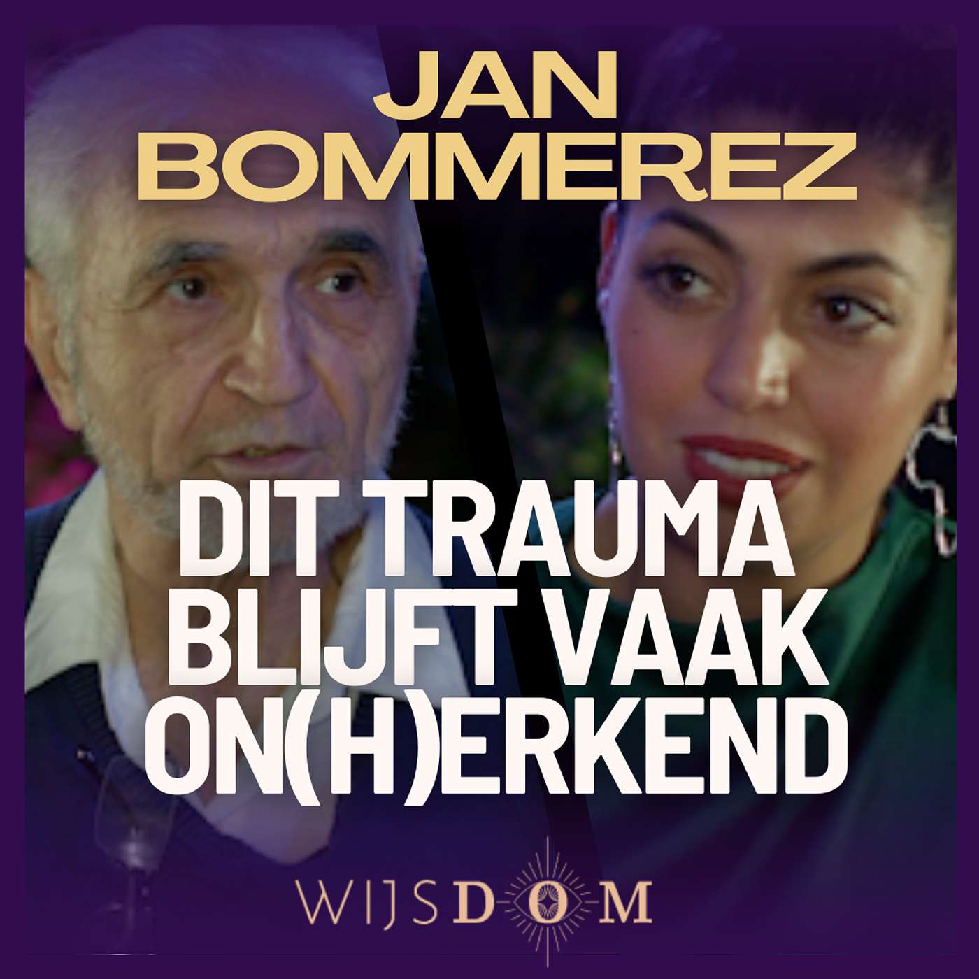 Veel moeten? Geen flow? Ontwikkelingstrauma als oorzaak! Jan Bommerez | WijsDom