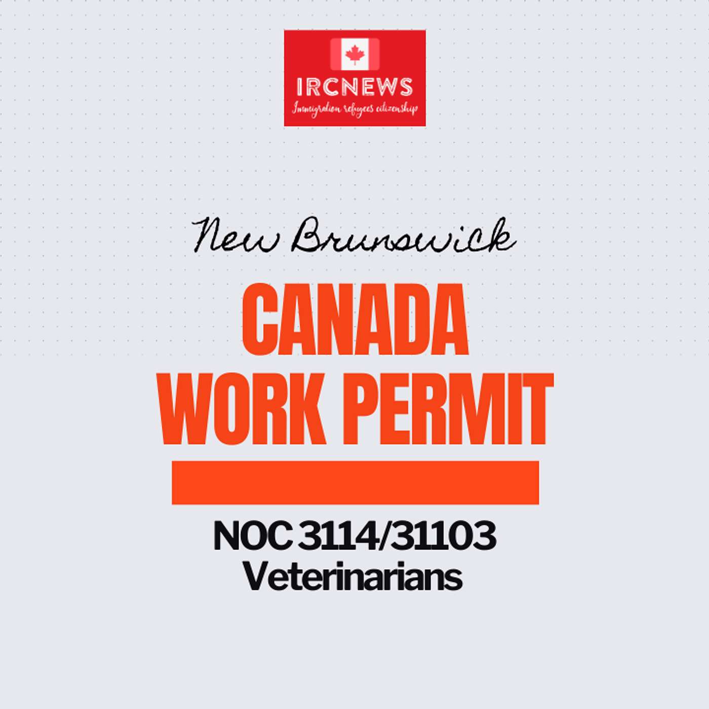 Canada Immigration New Brunswick NOC 3114/31103 Veterinarians Work Permits episode artwork