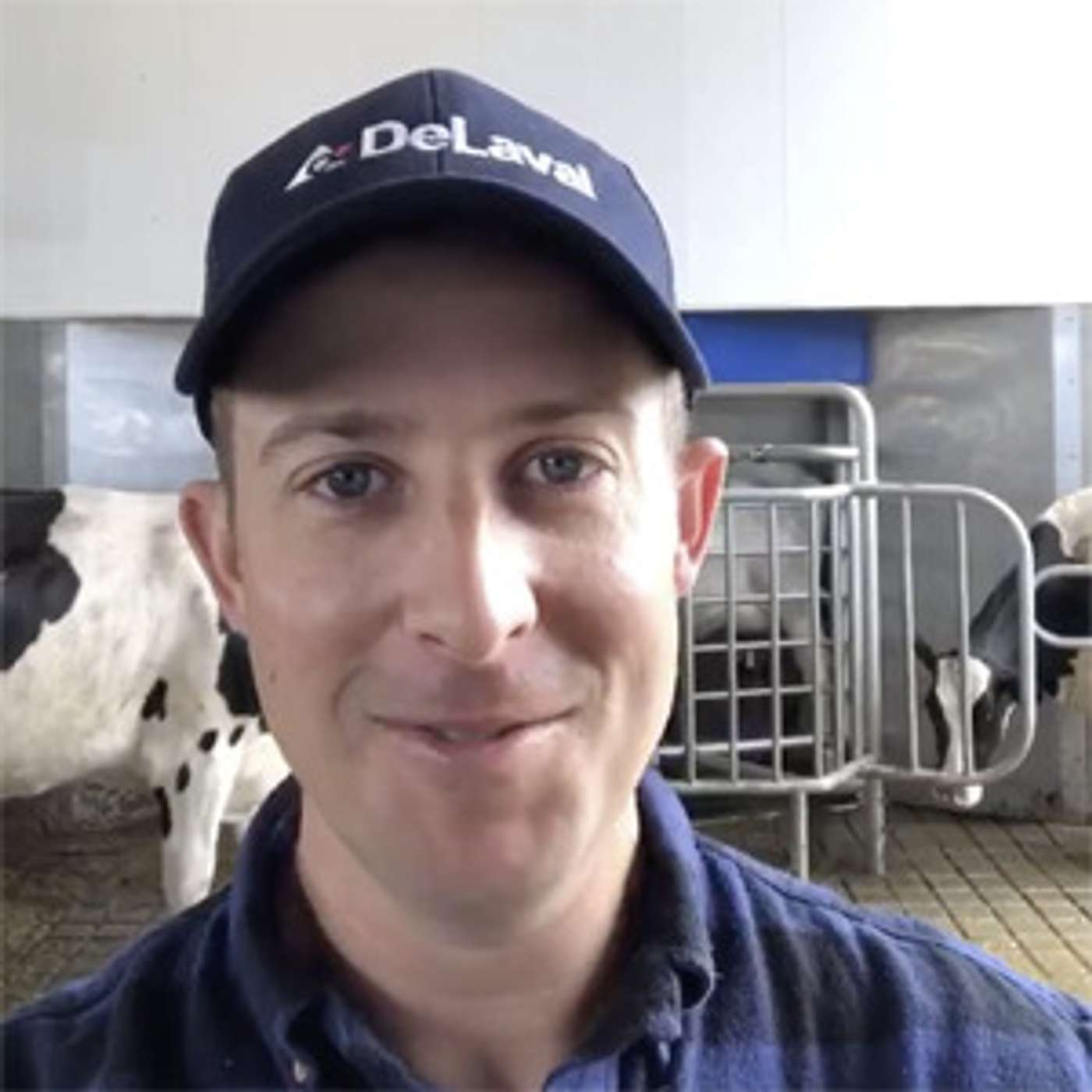 DairyVoice Podcast