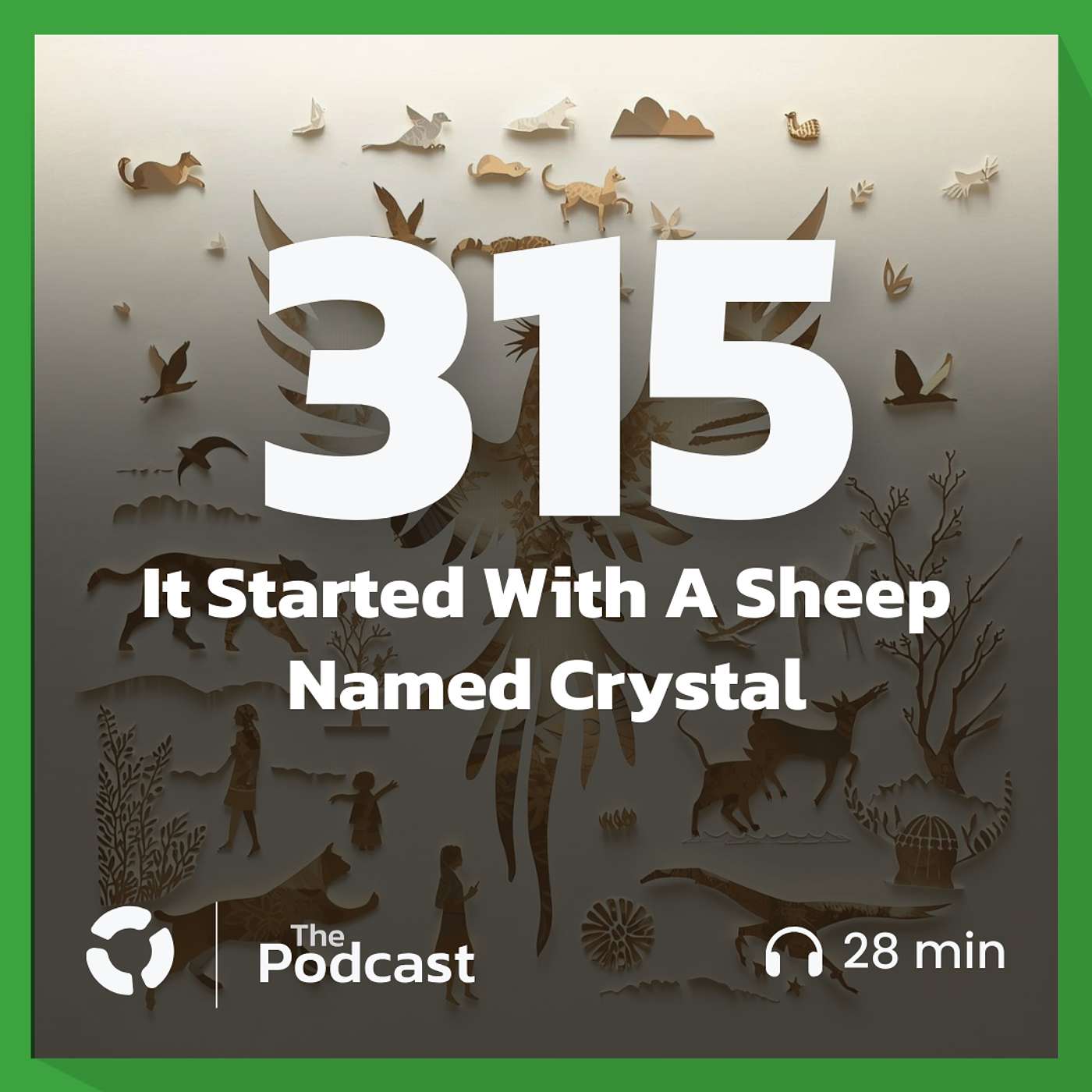 It Started With A Sheep Named Crystal It Started With A Sheep Named Crystal