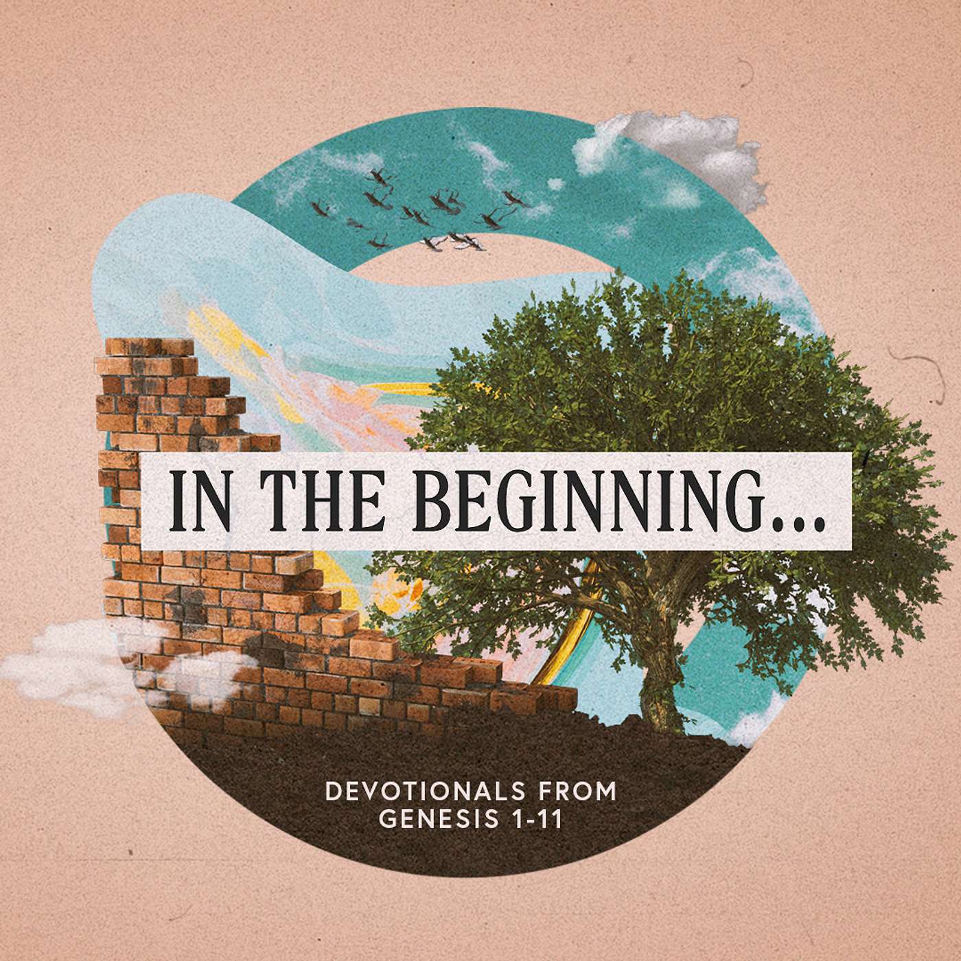 Day 12: In the Beginning