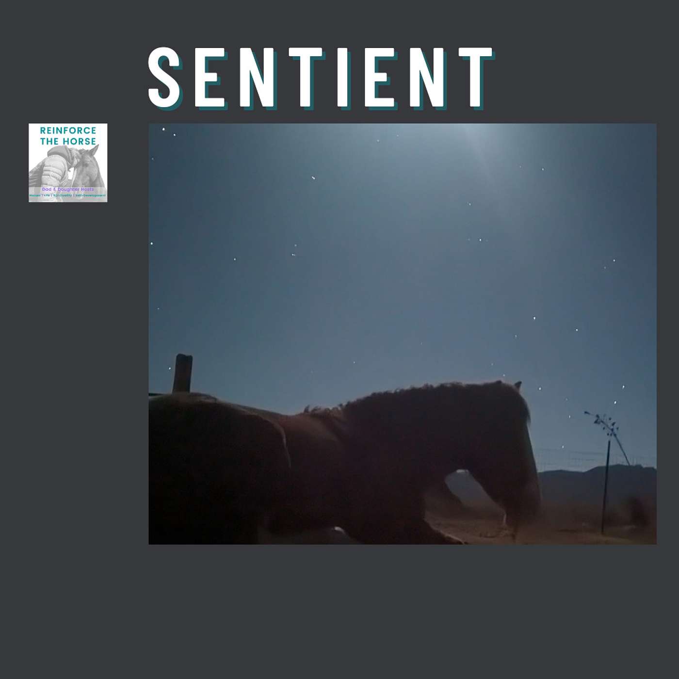 Reinforce the Horse