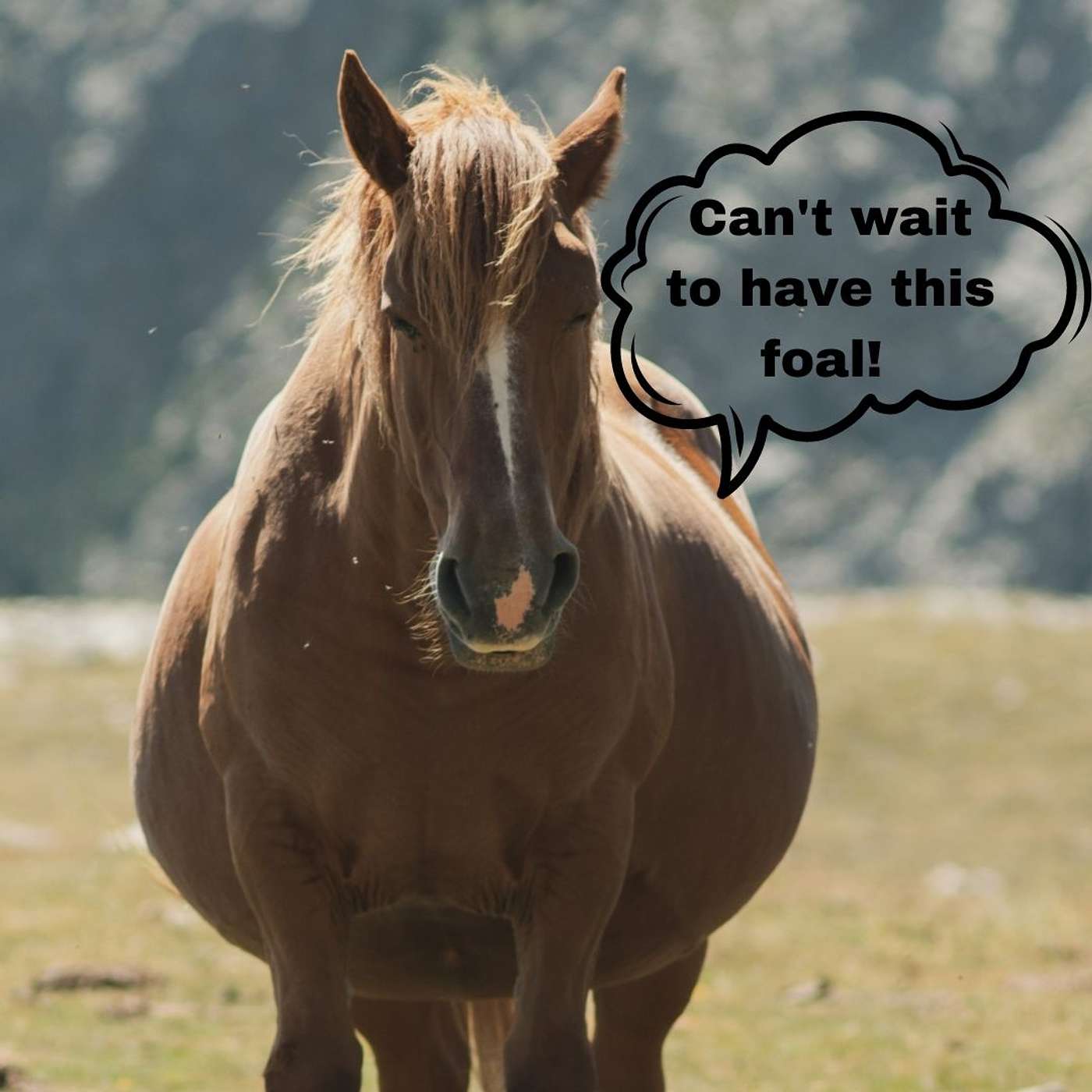 Holistic Horseworks Talks with April Love