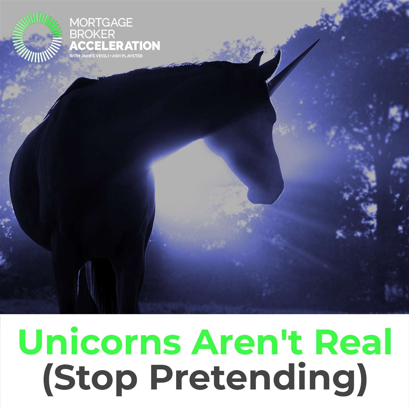 Unicorns Aren't Real (Stop Pretending)