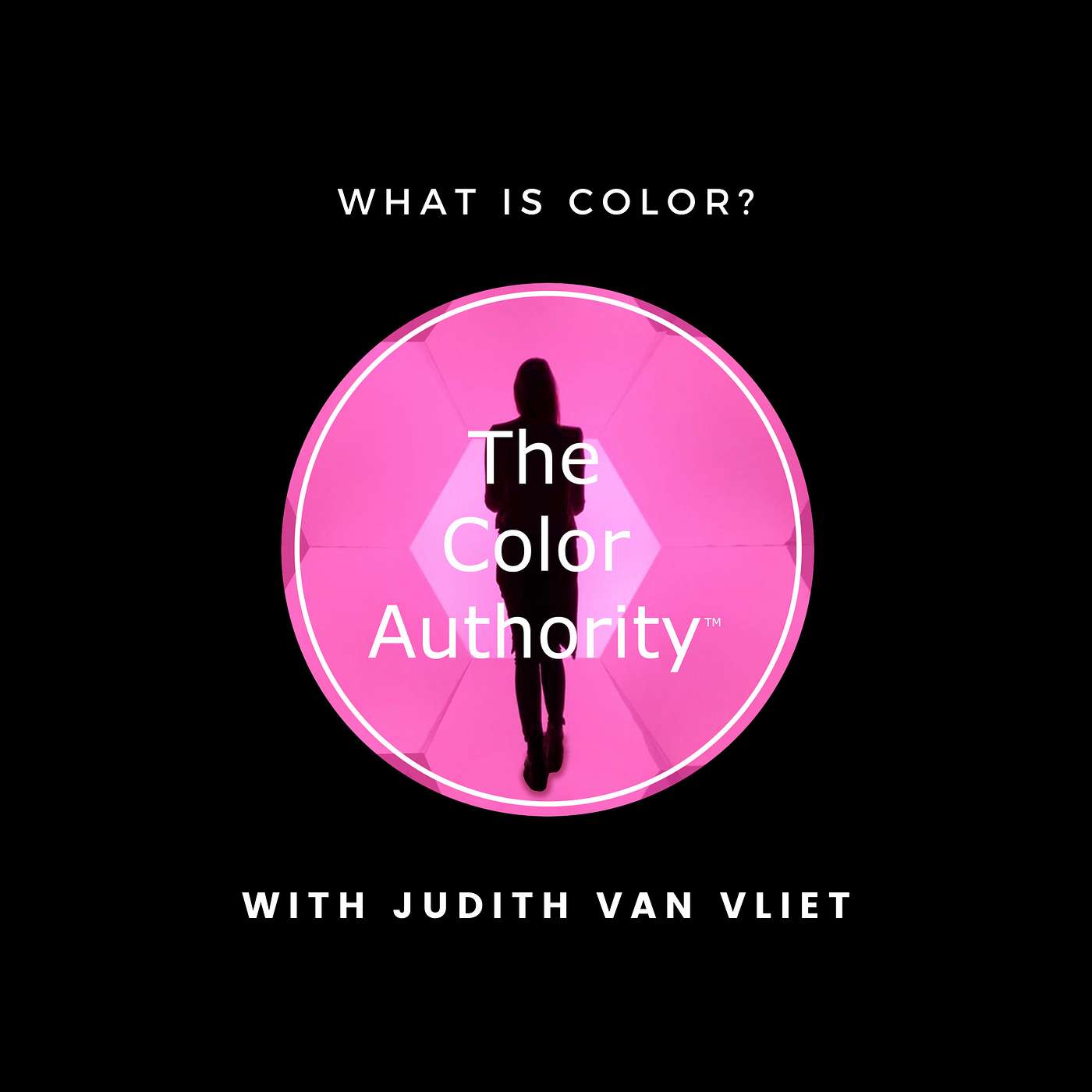 What is Color with Judith van Vliet