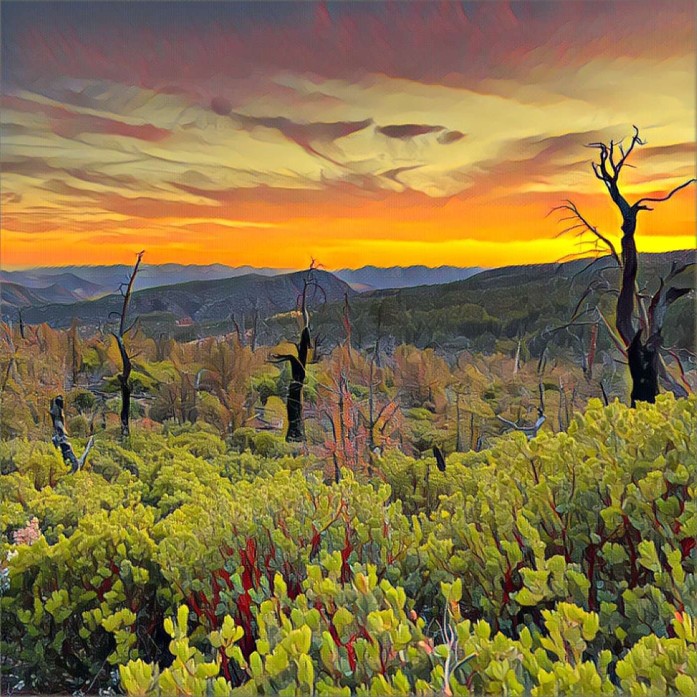 Arizona Trail: The Great Unconformity