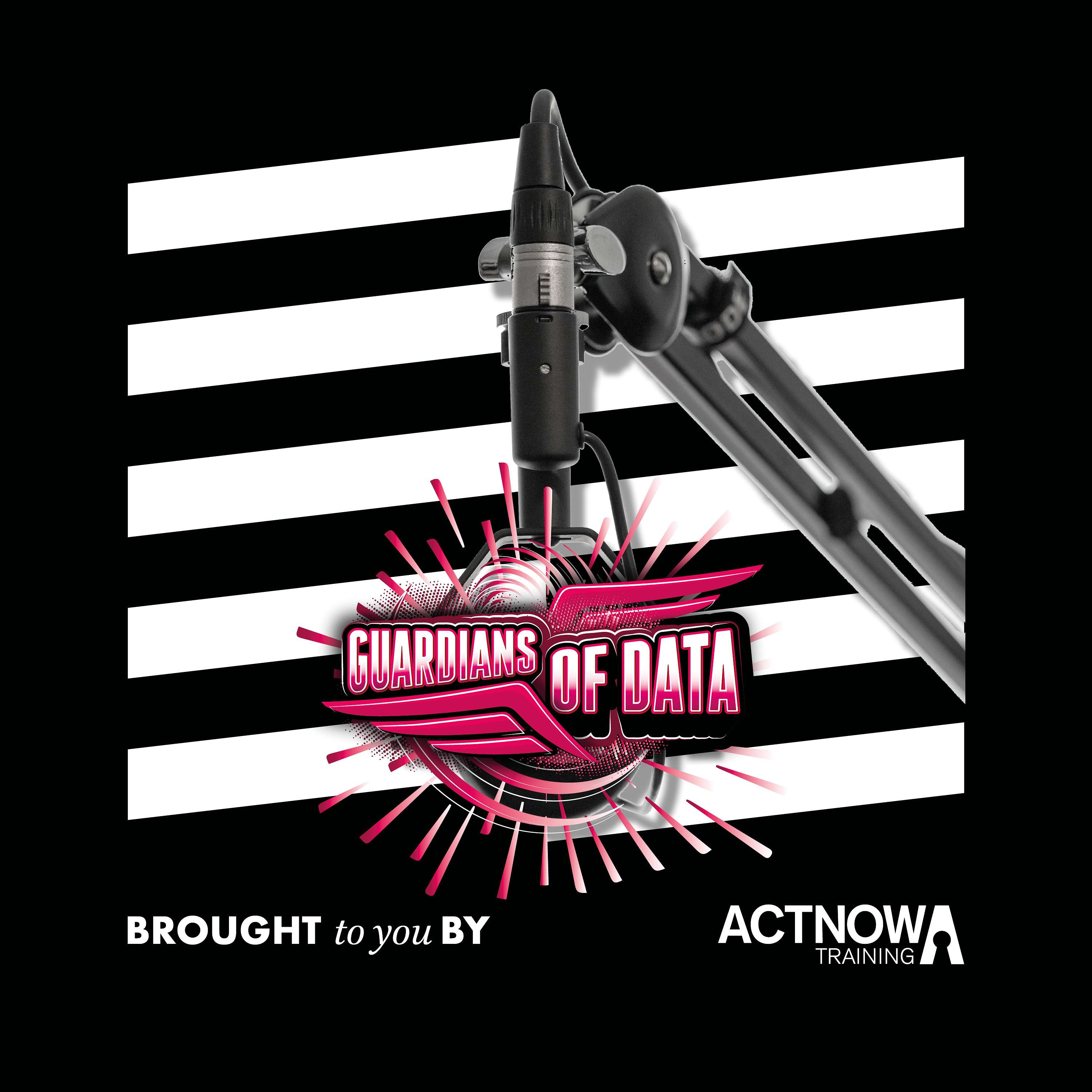 Guardians of Data cover art