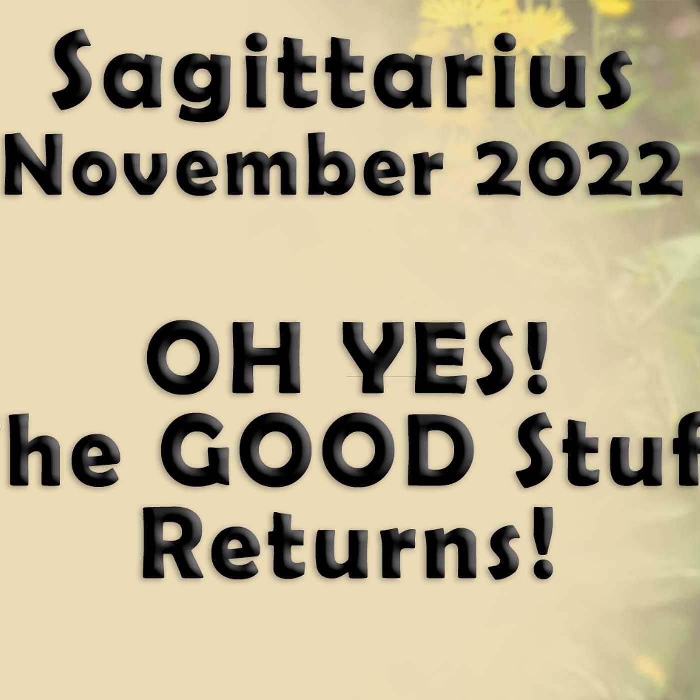 Sagittarius November 2022 OH, YES! The GOOD Stuff Returns! (Astrology Horoscope Forecast)