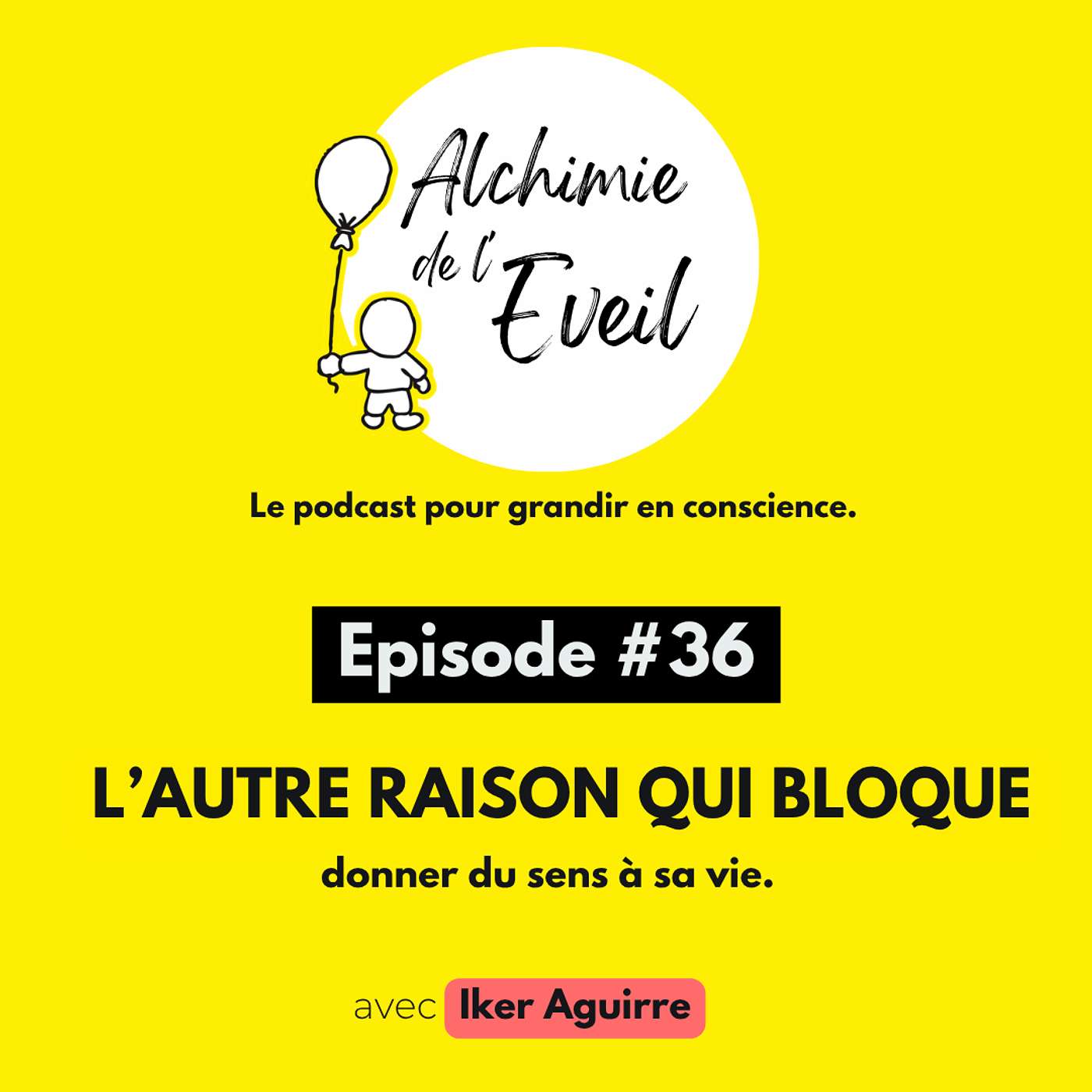 Ep. 36 : Donner du Sens à Sa Vie : l'Autre Raison qui Bloque ! episode artwork