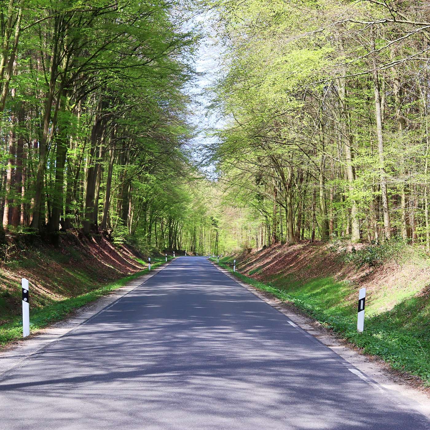 For Every Mile Of Road, There Are Two Miles Of Ditches - how does this play into your life? episode artwork