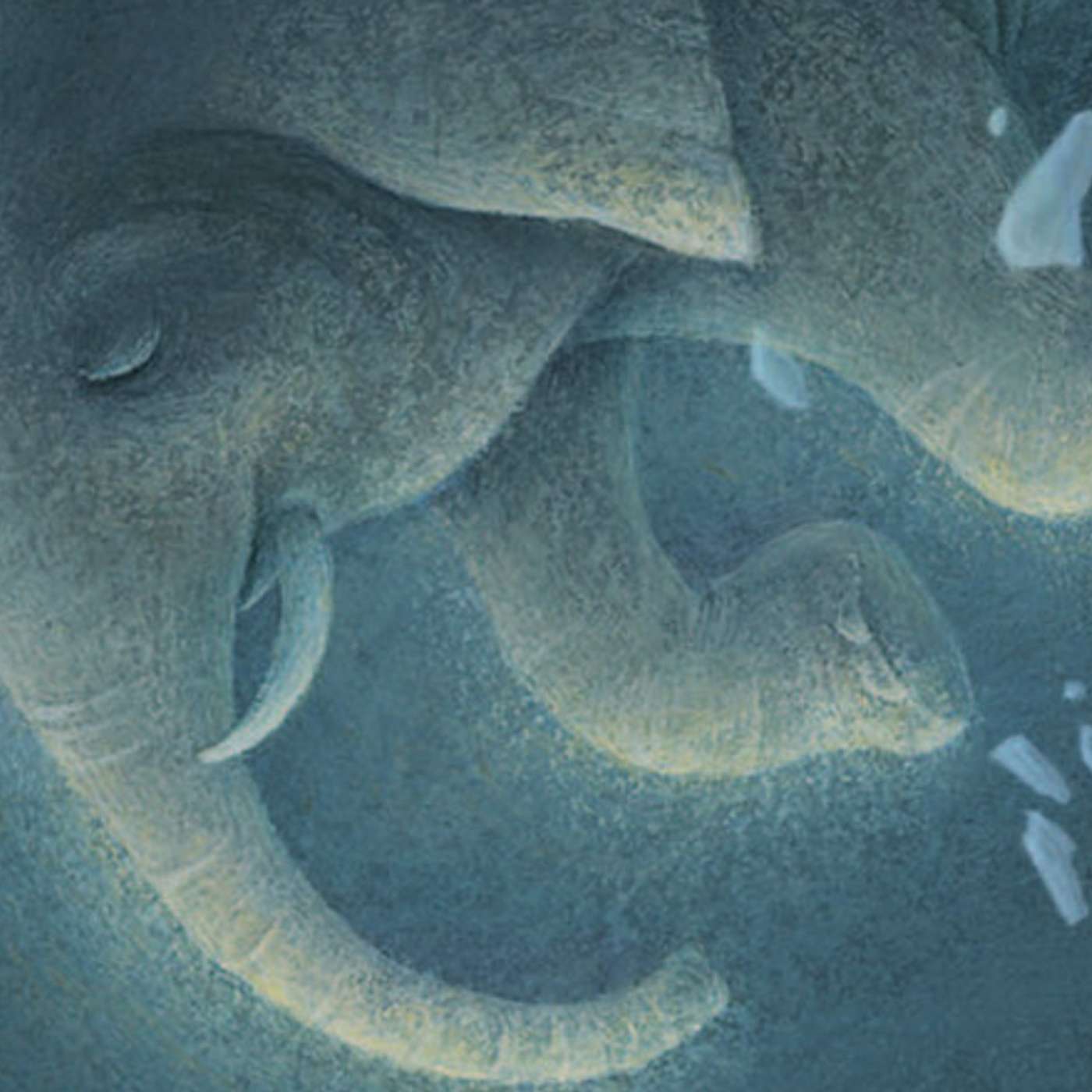 Chapter 6 "The Magician's Elephant" episode artwork