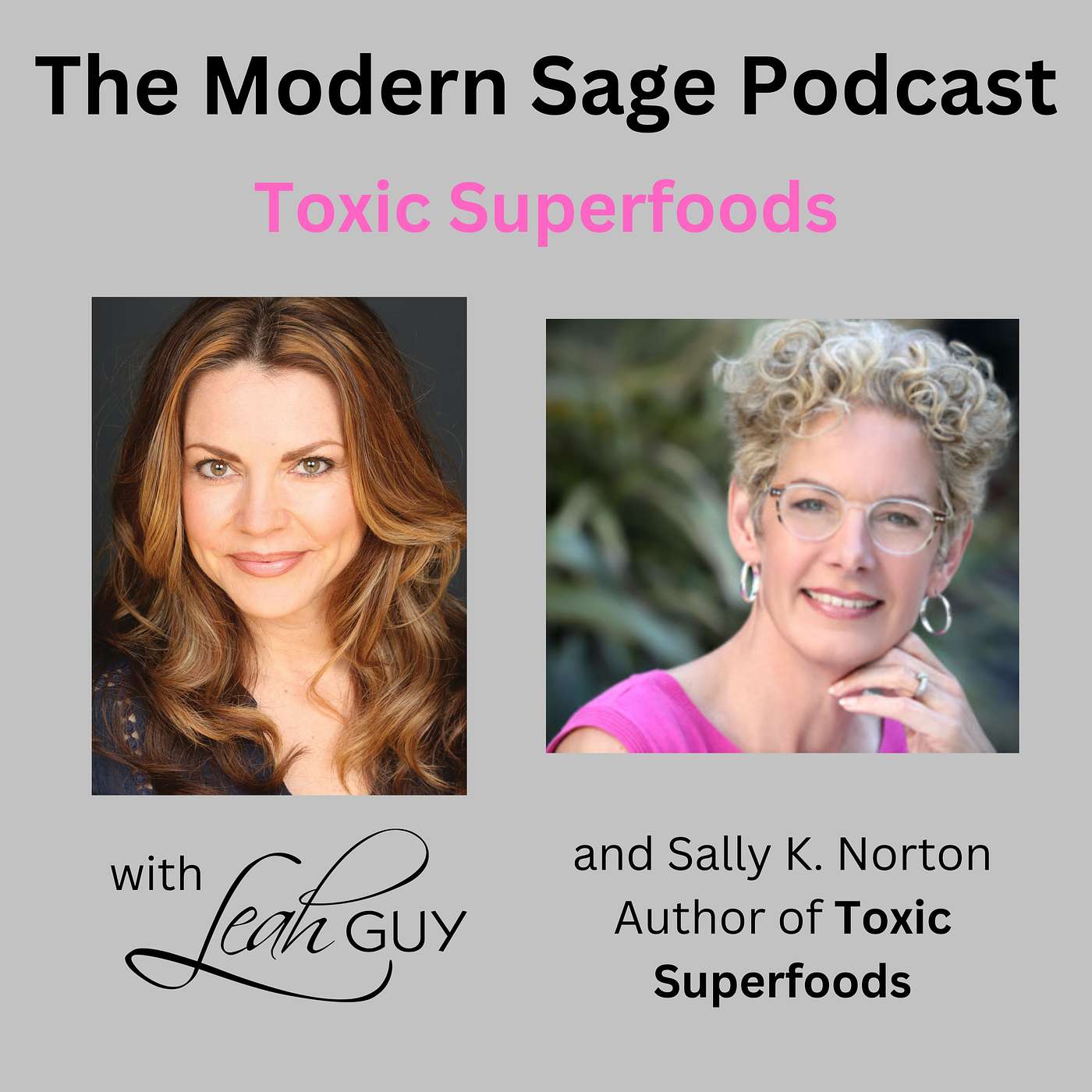 The Modern Sage Podcast