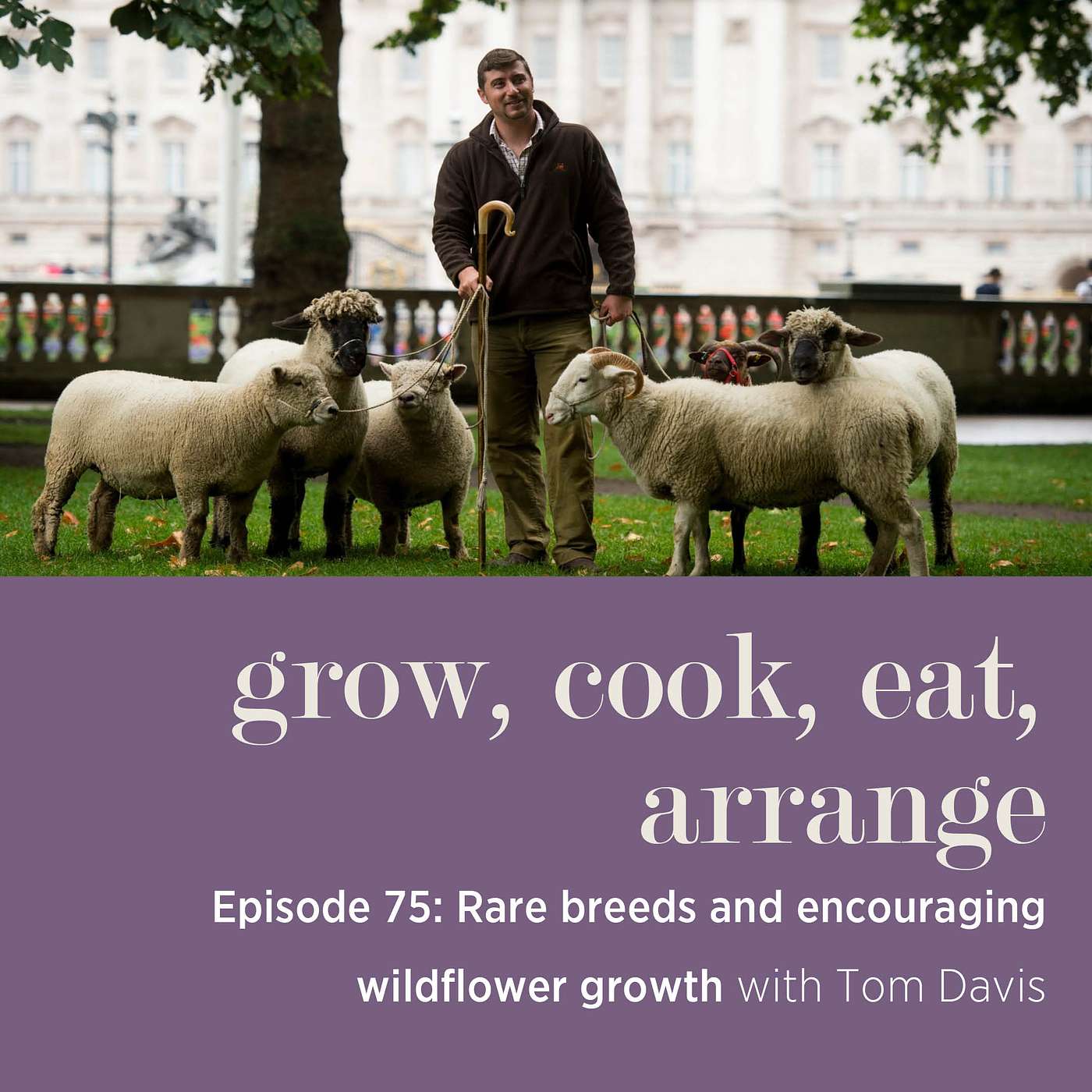 cover of episode Rare Breeds at Europe’s Largest City Farm and Encouraging Wildflower Growth with Mudchute Farm Manager, Tom Davis - Episode 75