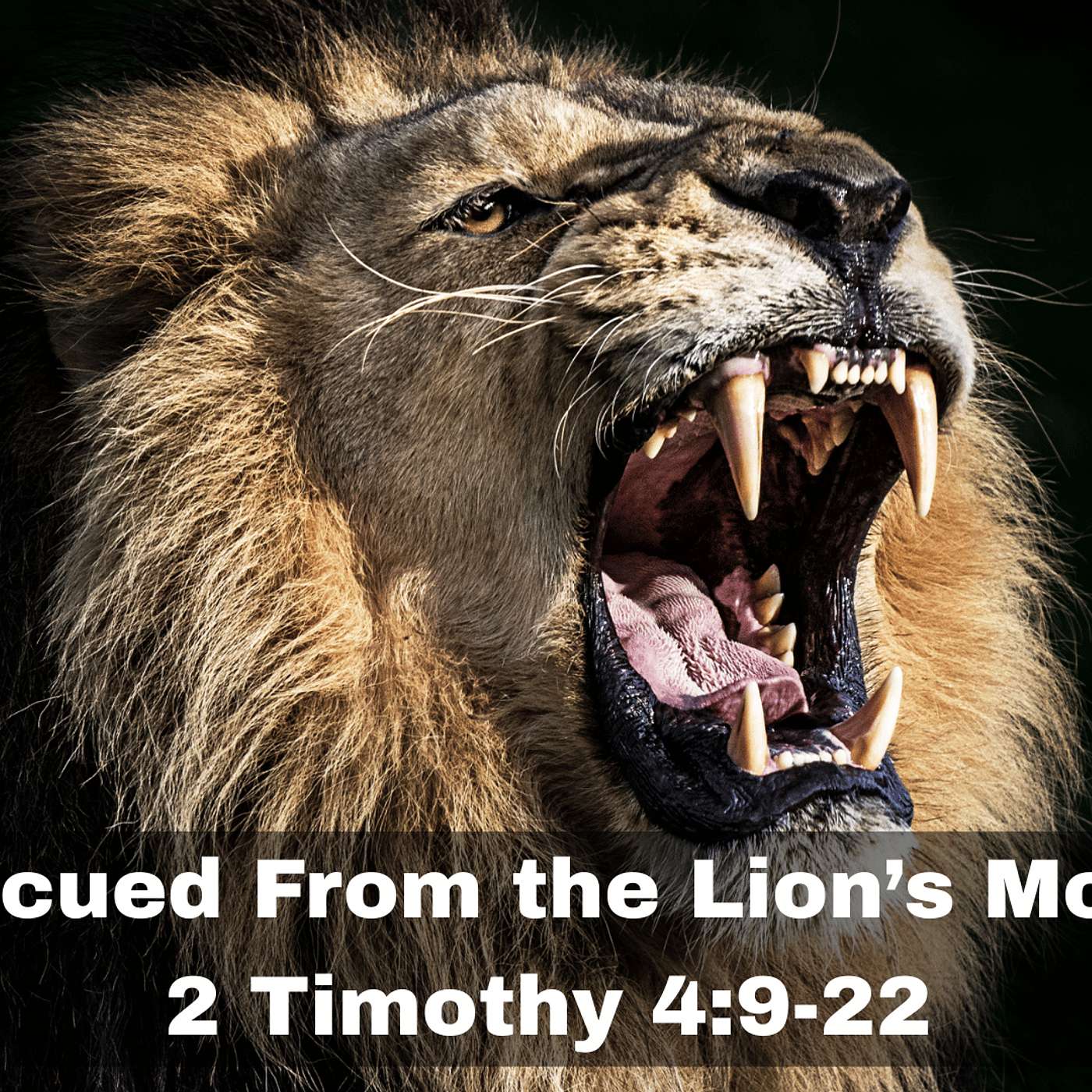 "Rescued From the Lion's Mouth" 2 Timothy 4:9-22