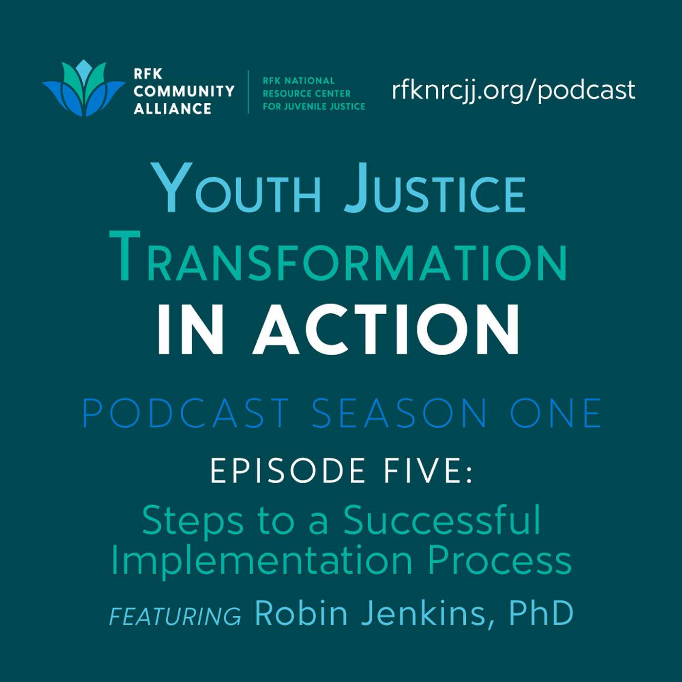 Youth Justice Transformation in Action