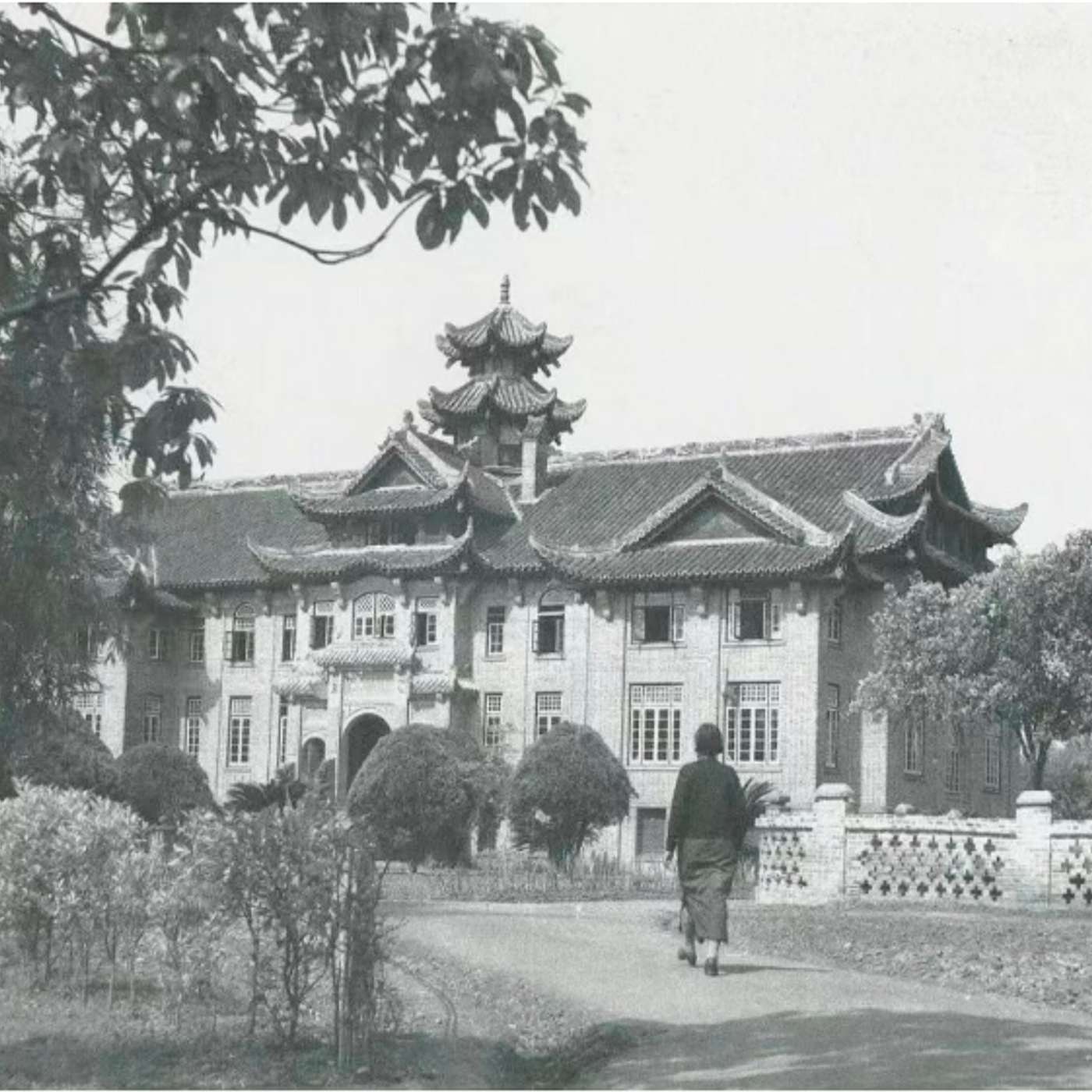 From Ginling to the Global Stage: Wu Yifang’s Journey of Resilience and Leadership