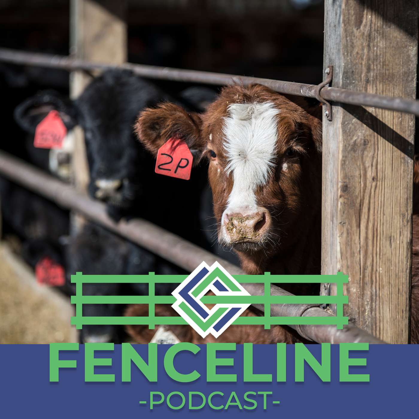 A to Z Feeders: Powered by Iowa‑Grown Corn episode artwork