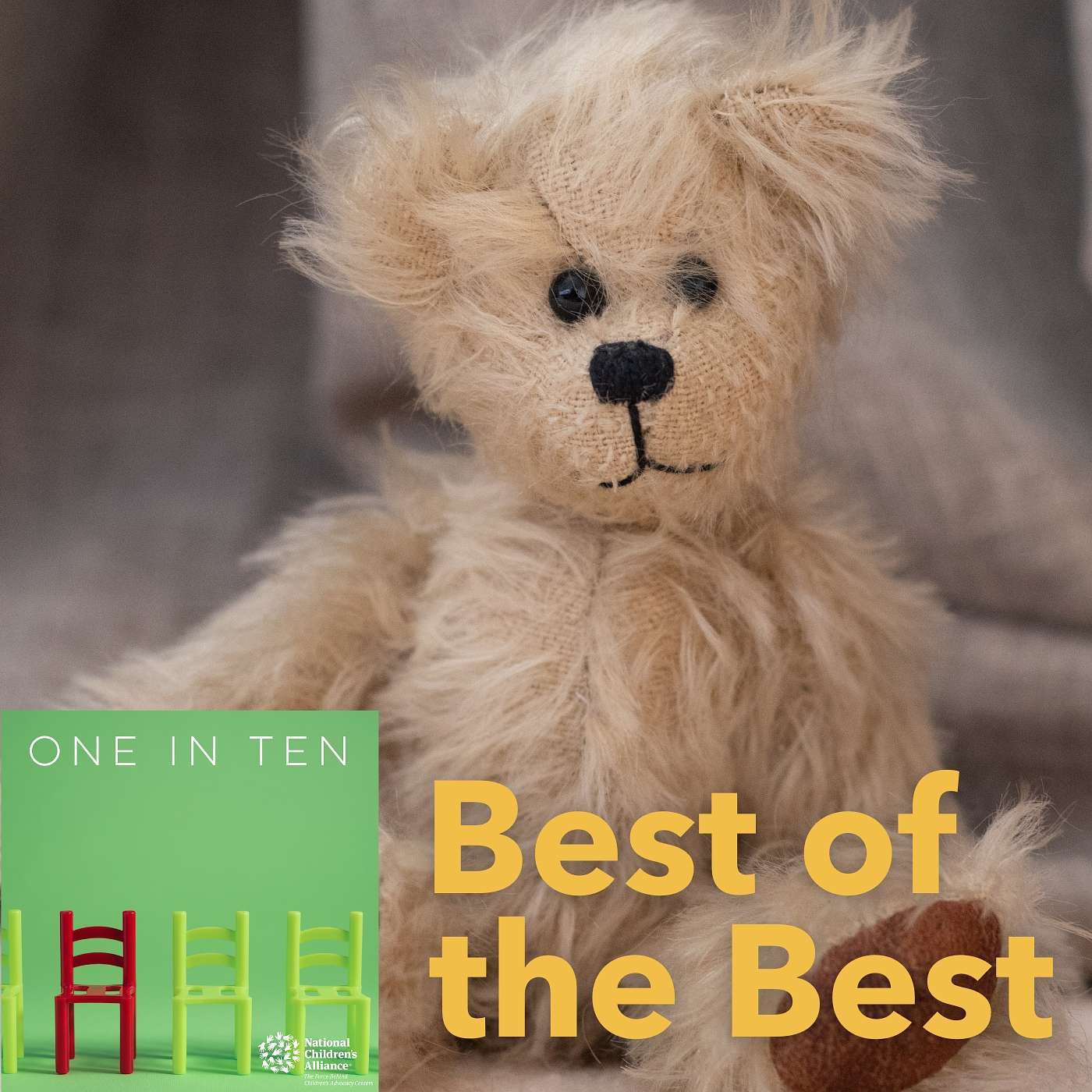 Best of the Best: Gender Bias and the Myth of Parental Alienation