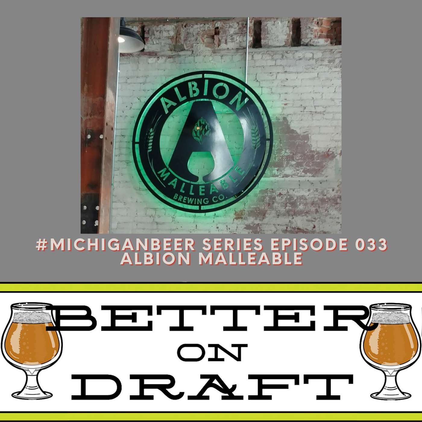 Albion Malleable w/ Ben Wade | #MichiganBeer Series 33