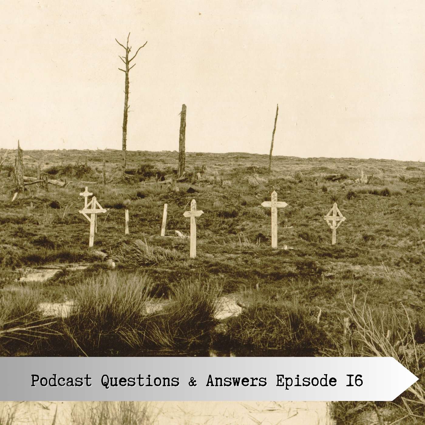 Questions and Answers Episode 16