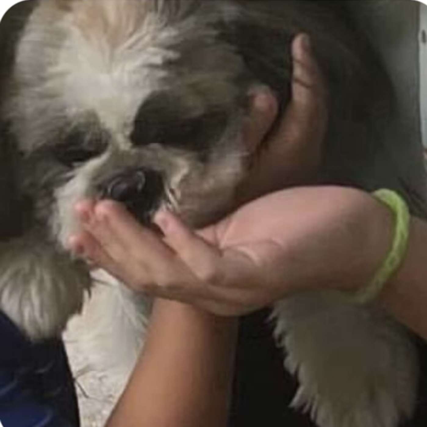 Antonella Giovanna Speaks Out On The Concerns She Has For Her Children's wellbeing And The Appellate Court Case