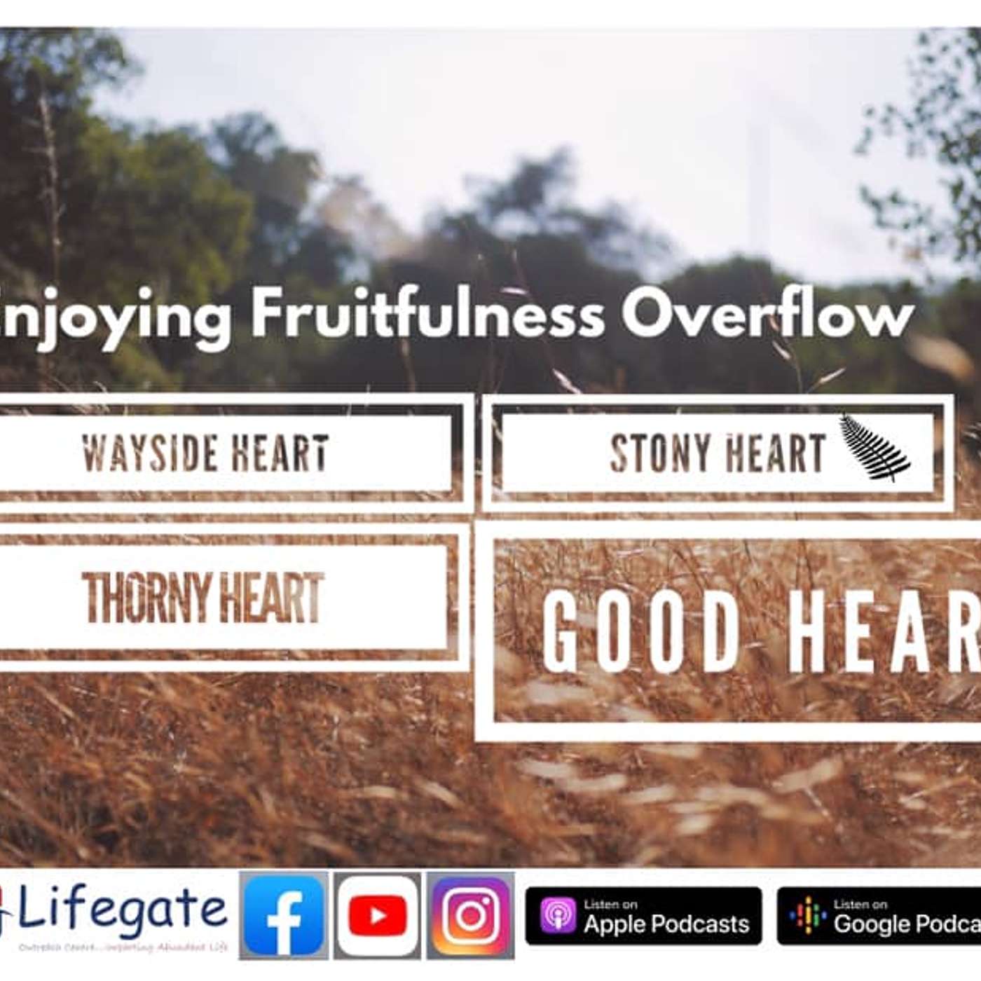 Destroying the Stony Heart (Enjoying Fruitfulness Overflow) -14.3.21 episode artwork
