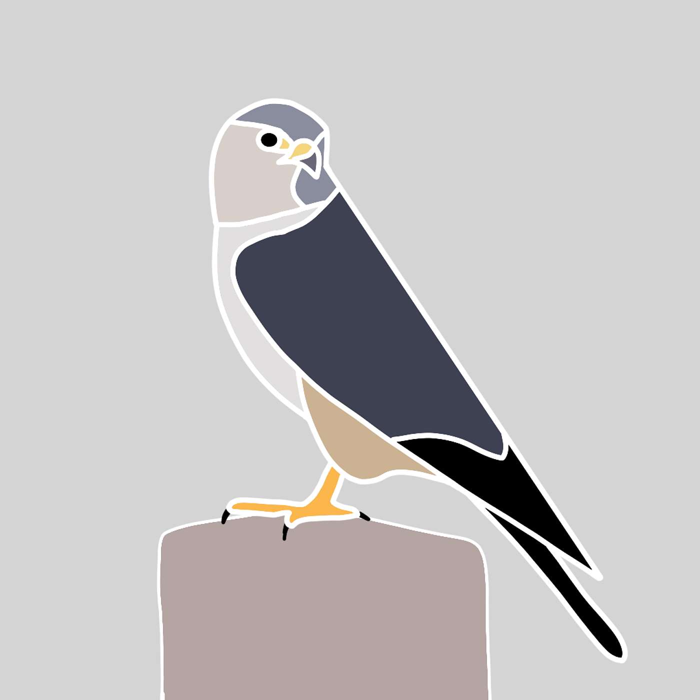 The Merlin