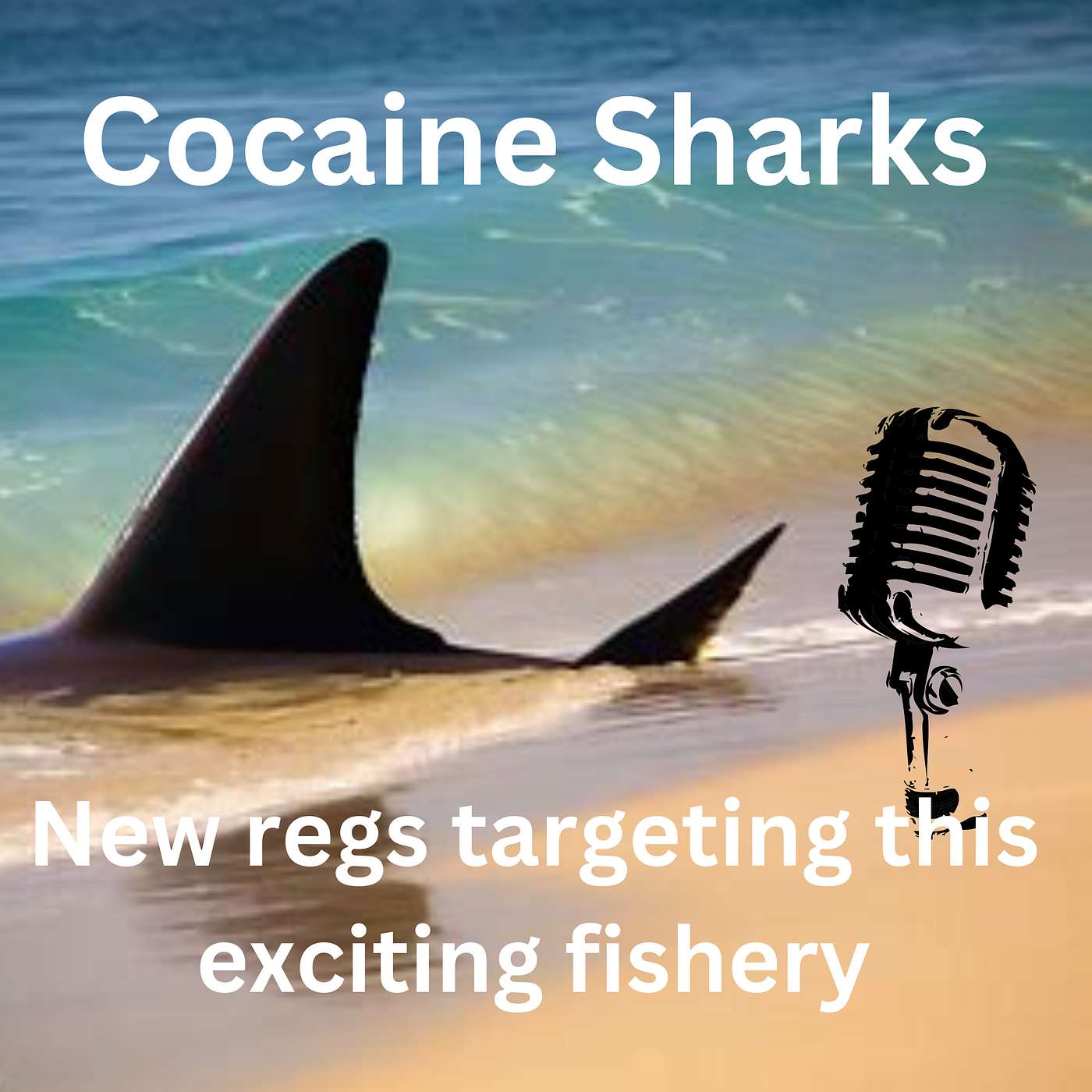 A Journey through Saltwater Licenses, Striped Bass News, and Shark Fishing
