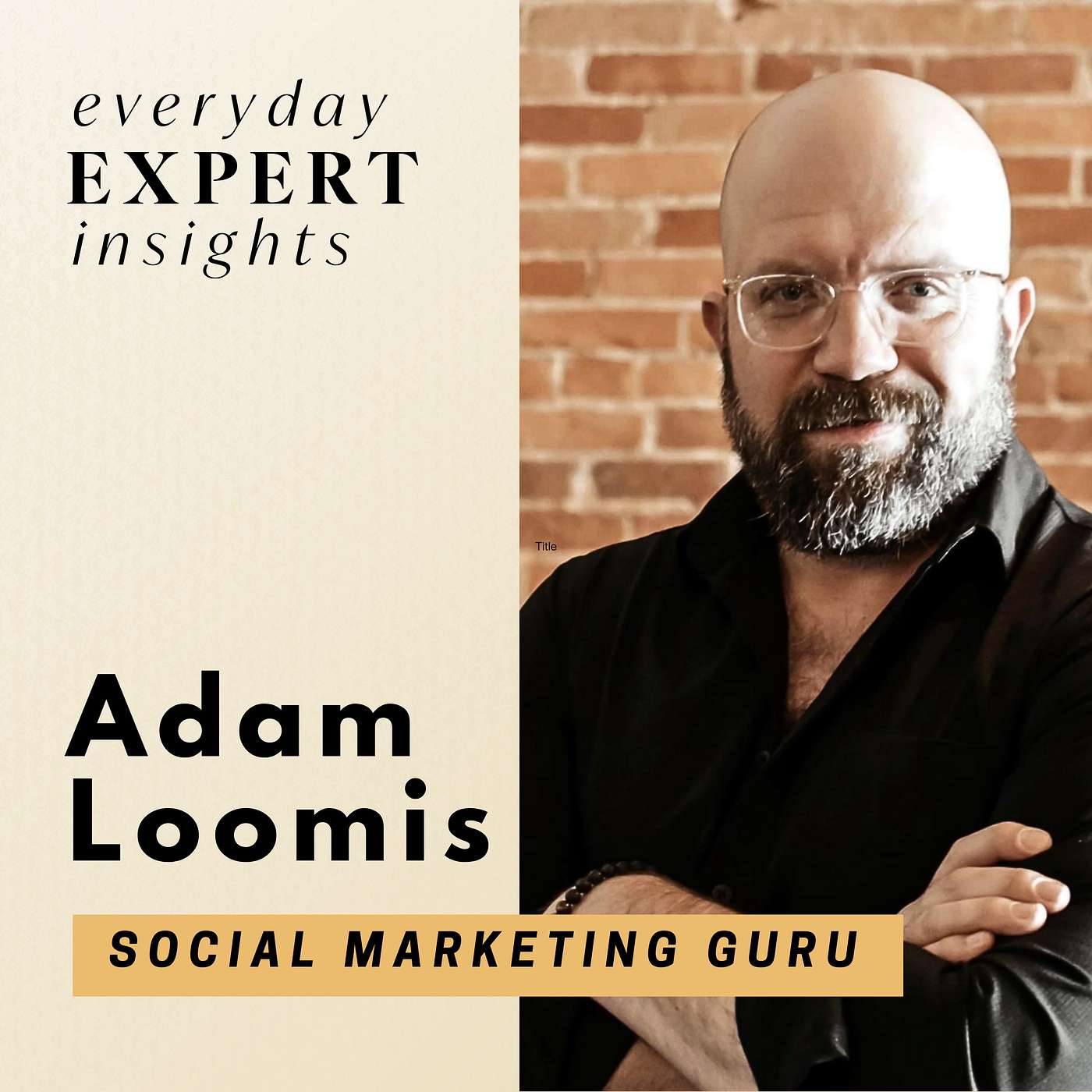 Everyday Expert Insights