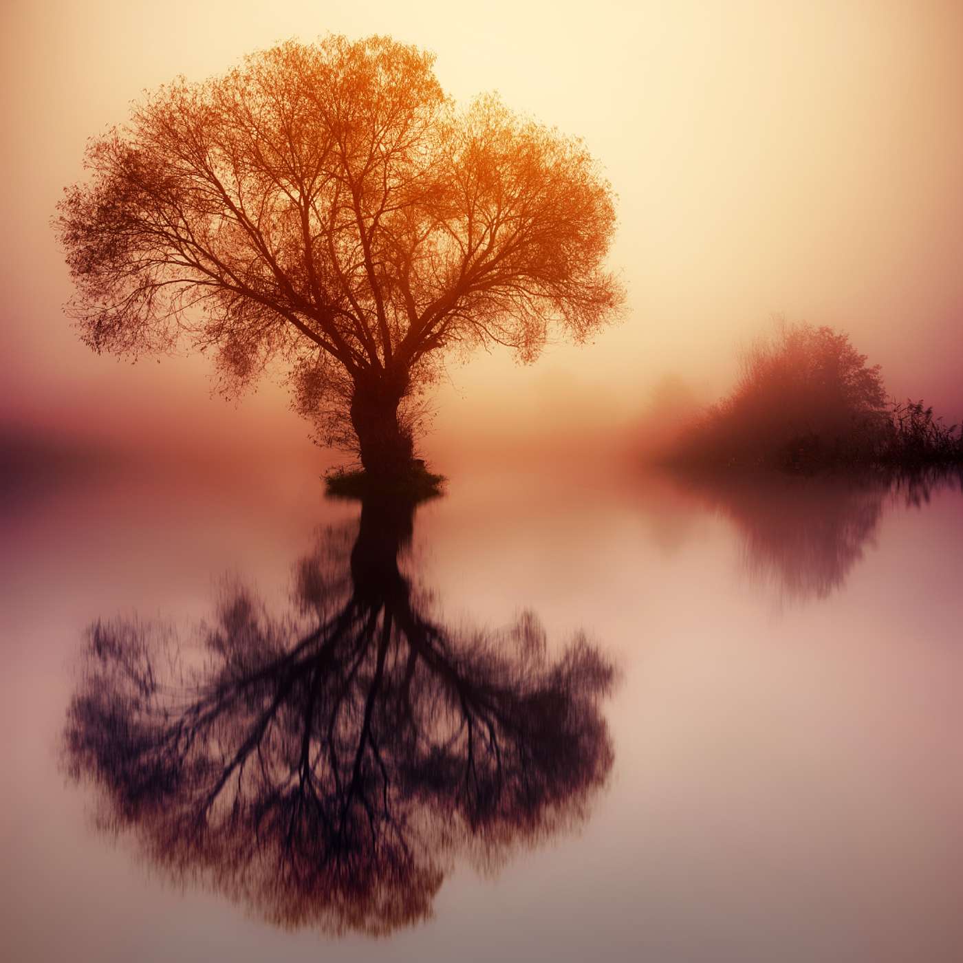 Gratitude Meditation: Reconnecting with Joy Right Now