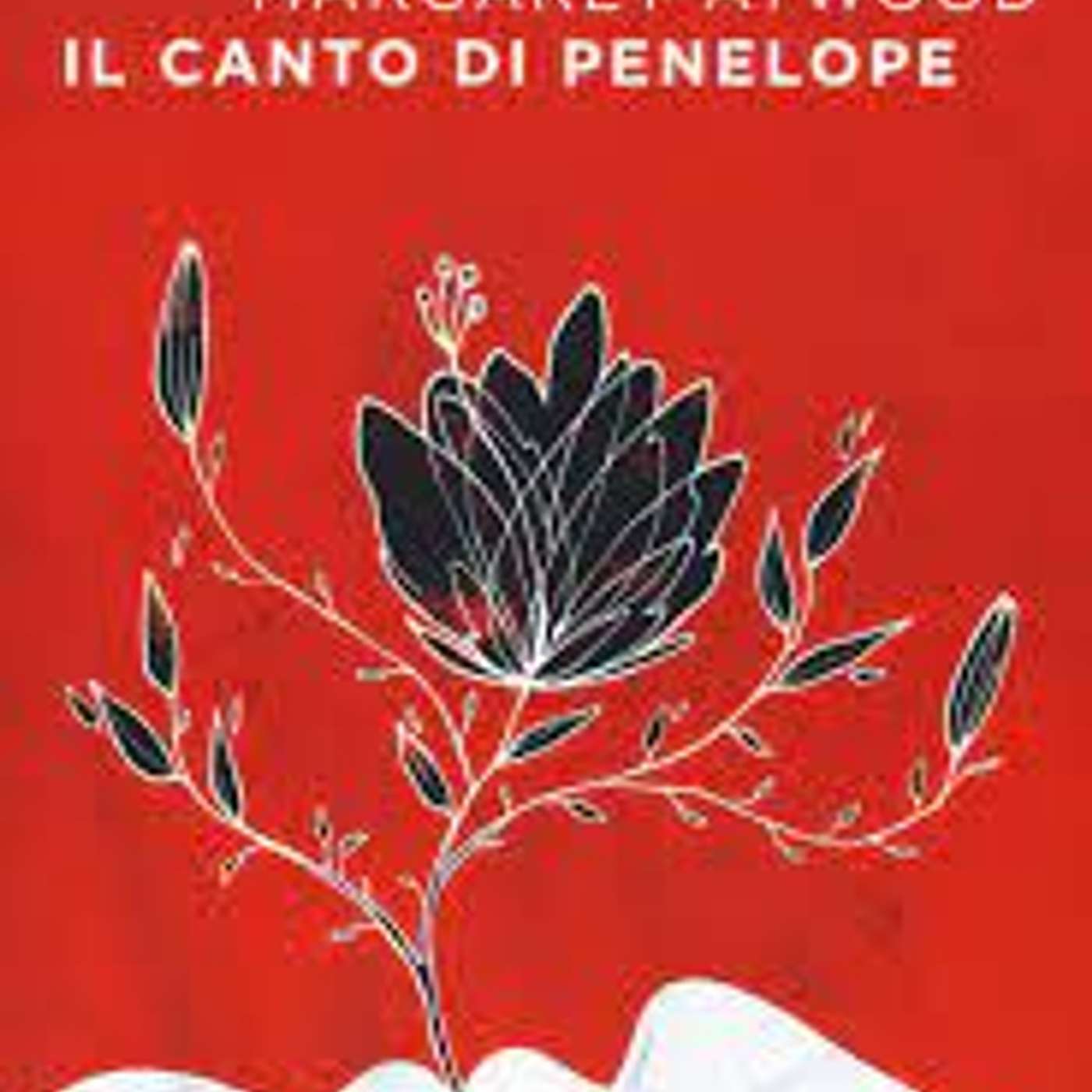 La radio che si legge di Stefano Milani