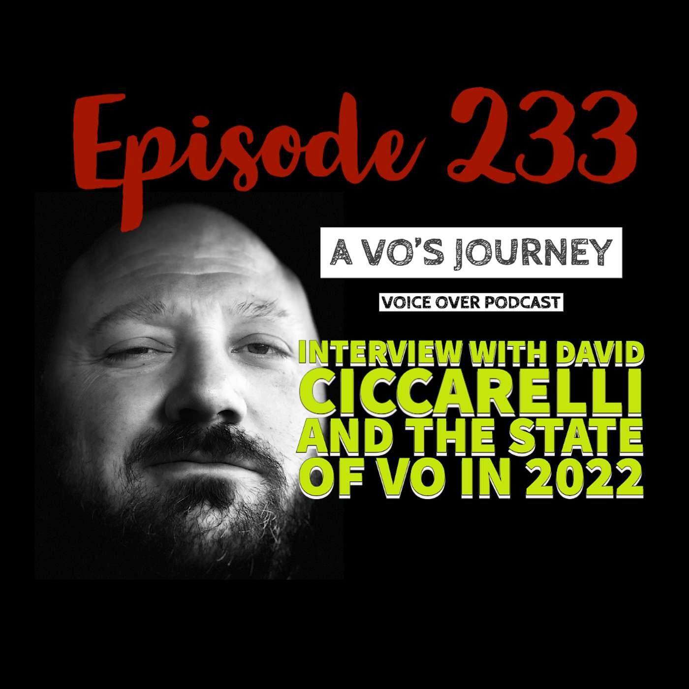 A VO\'s Journey: Voiceover and more voice over