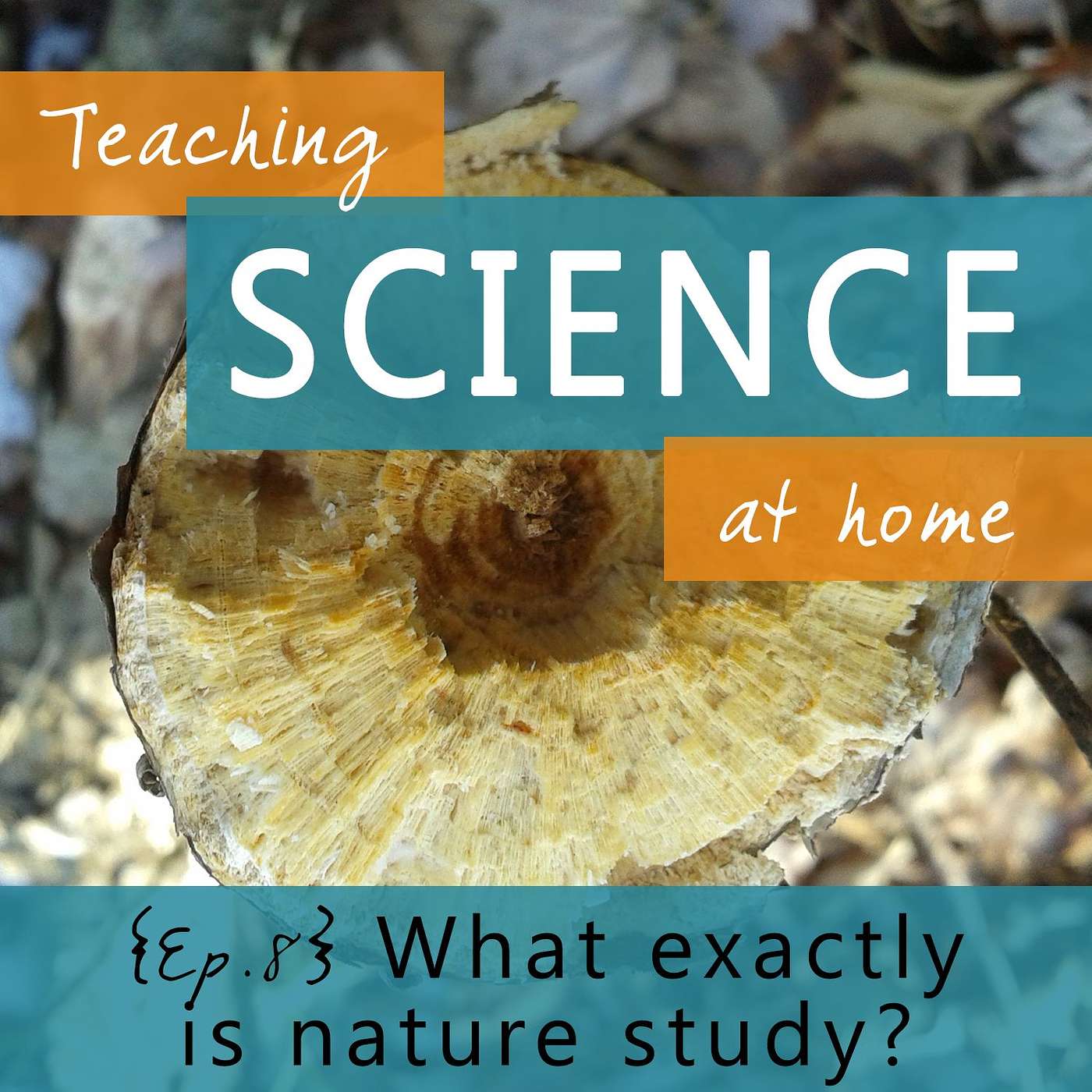 Ep 8 - What is Nature Study?
