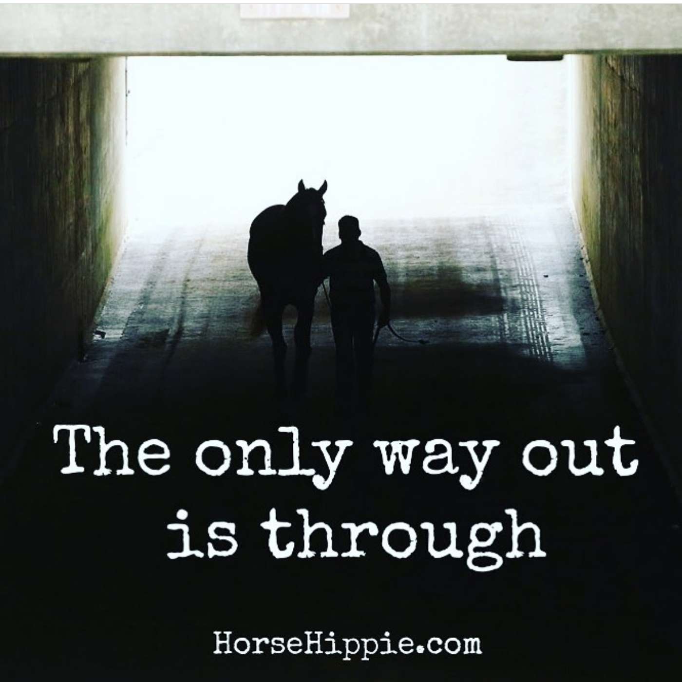 The Way Out is Through episode artwork