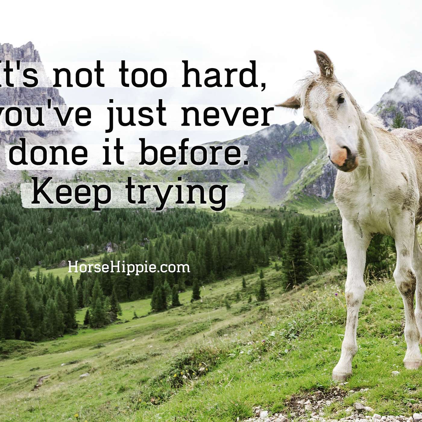 Keep Learning