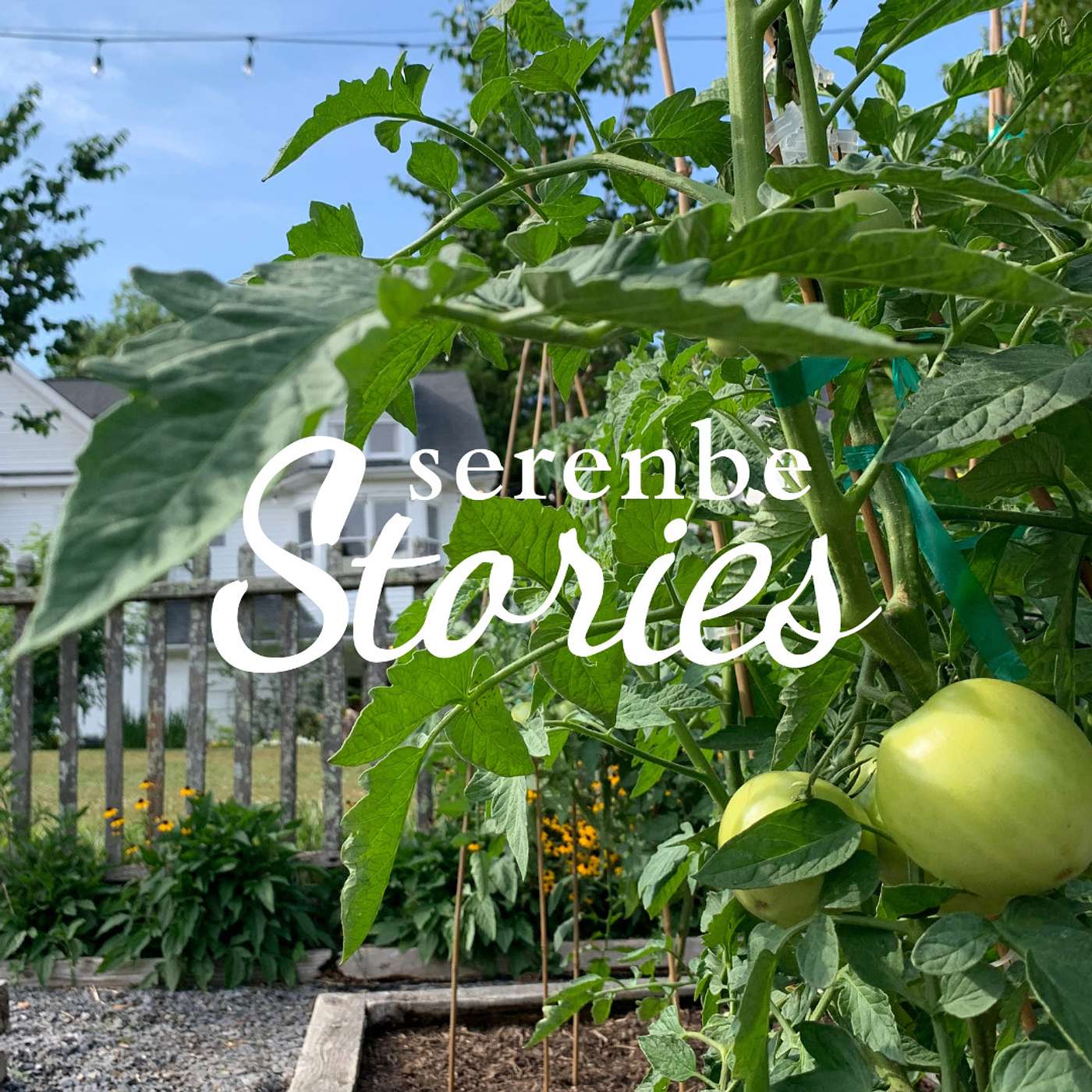 Introducing Season 7 of Serenbe Stories