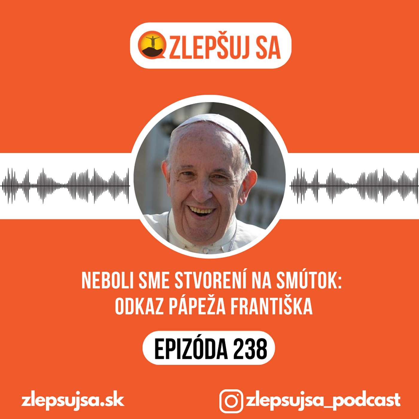 238. Neboli sme stvorení na smútok:  Odkaz pápeža Františka episode artwork